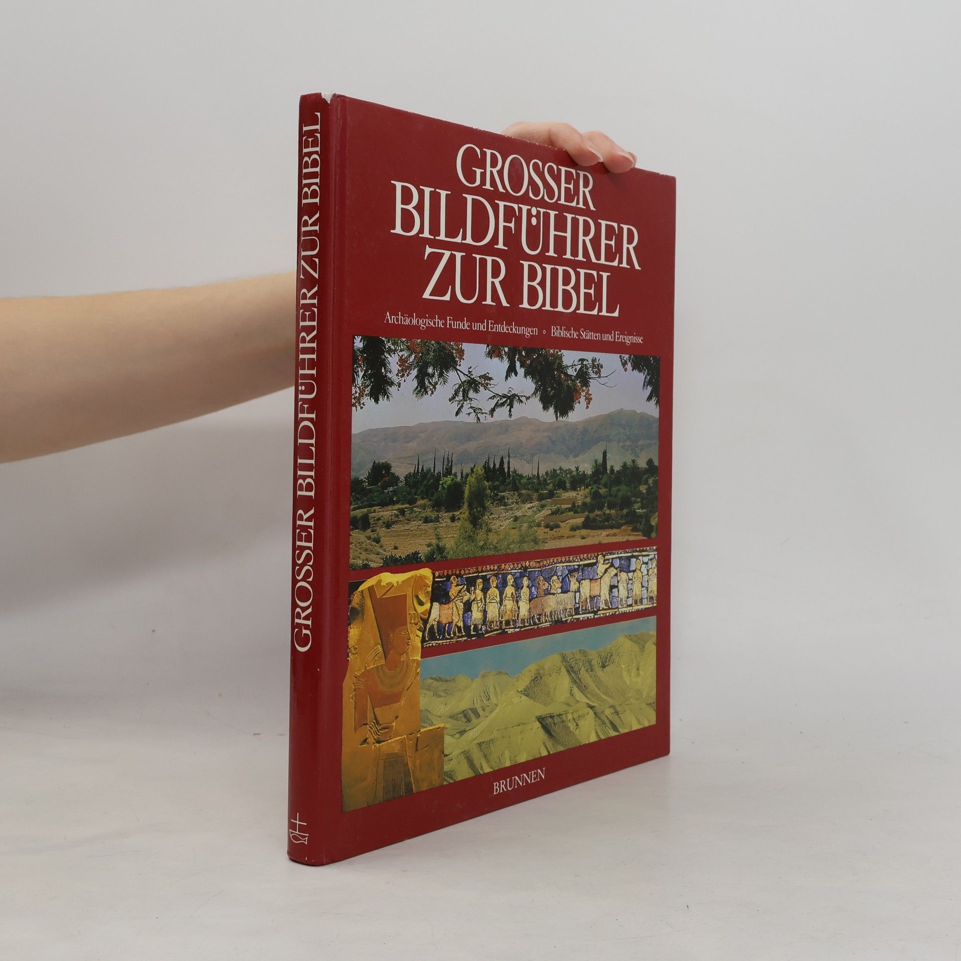 Pat Alexander Grosser Bildführer zur Bibel
