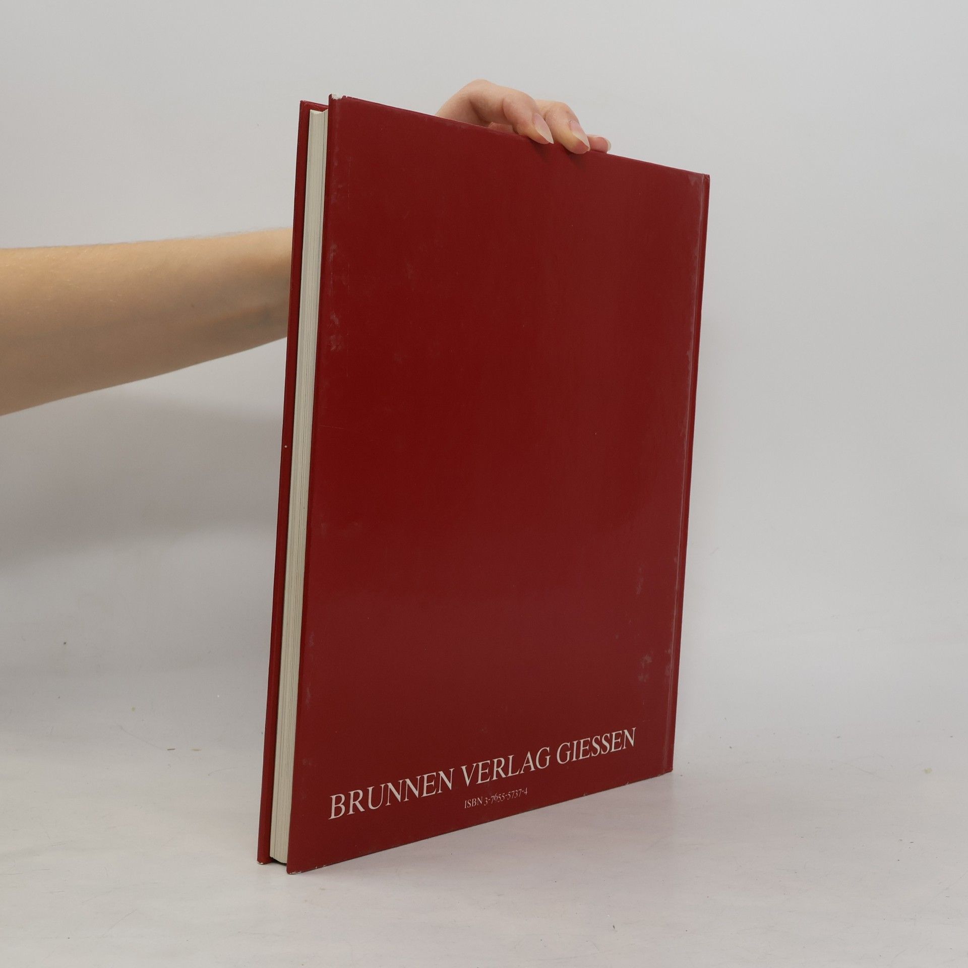 Pat Alexander Grosser Bildführer zur Bibel