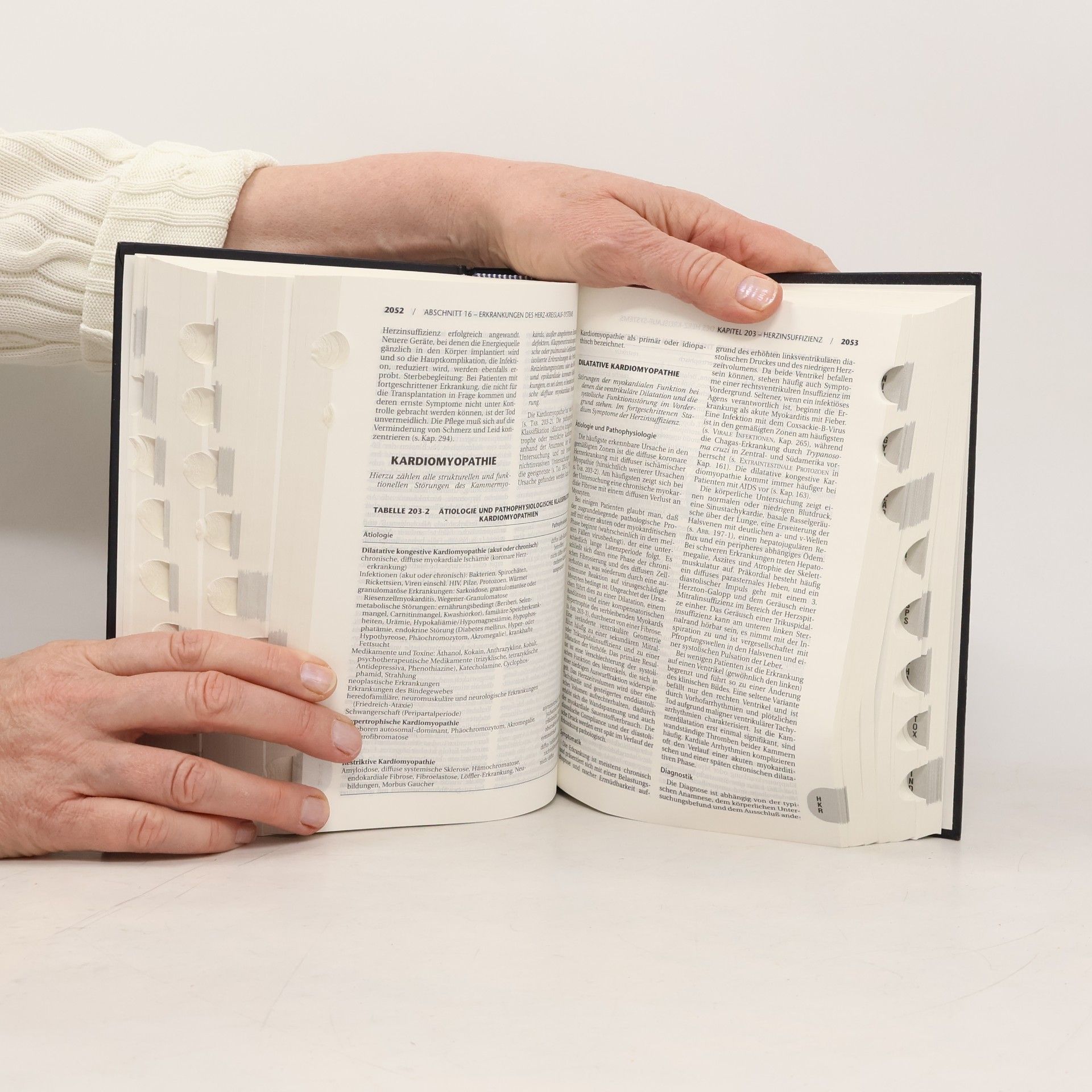 Autorenkollektiv Das MSD Manual