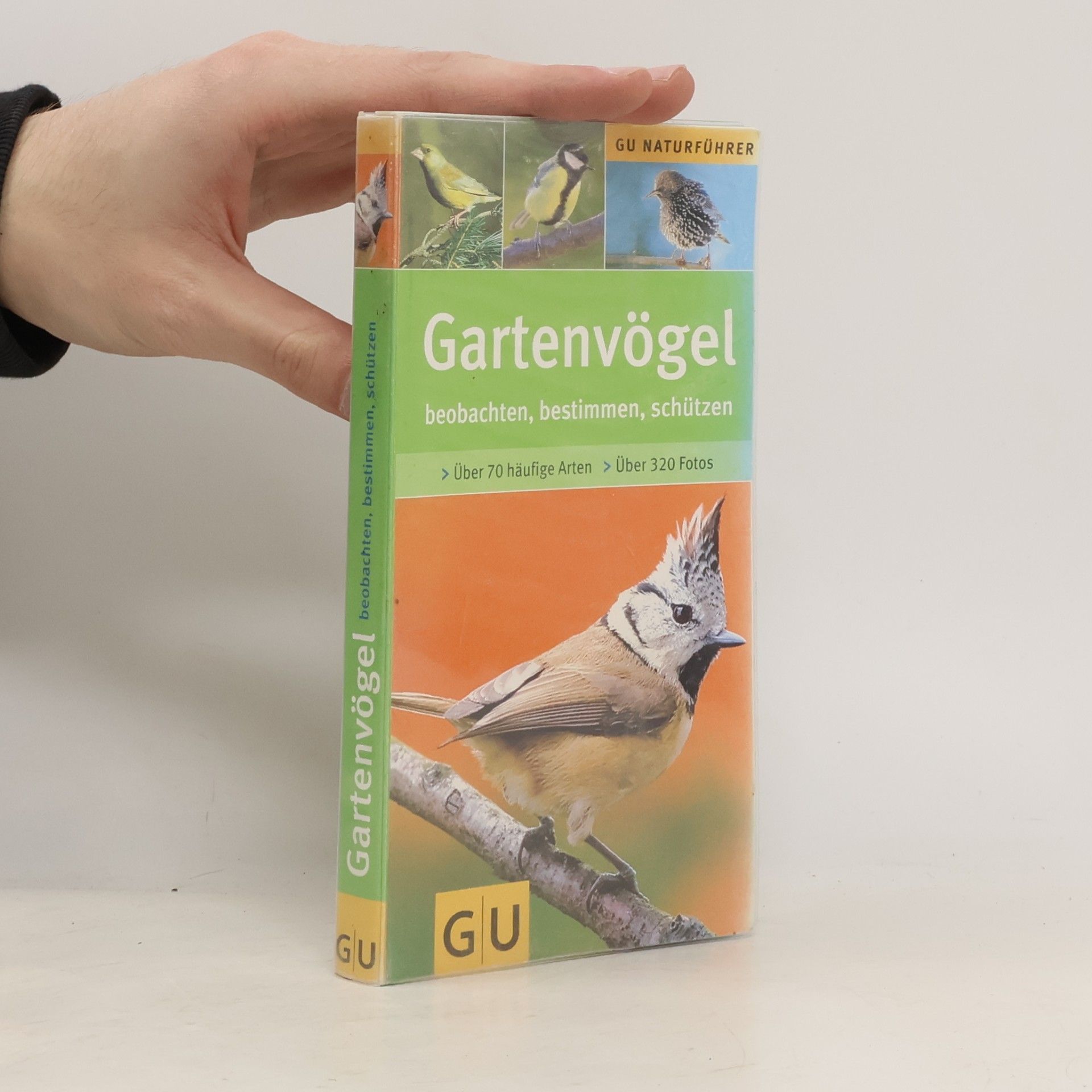 Gartenvögel beobachten, bestimmen, schützen ; [über 70 häufige Arten]