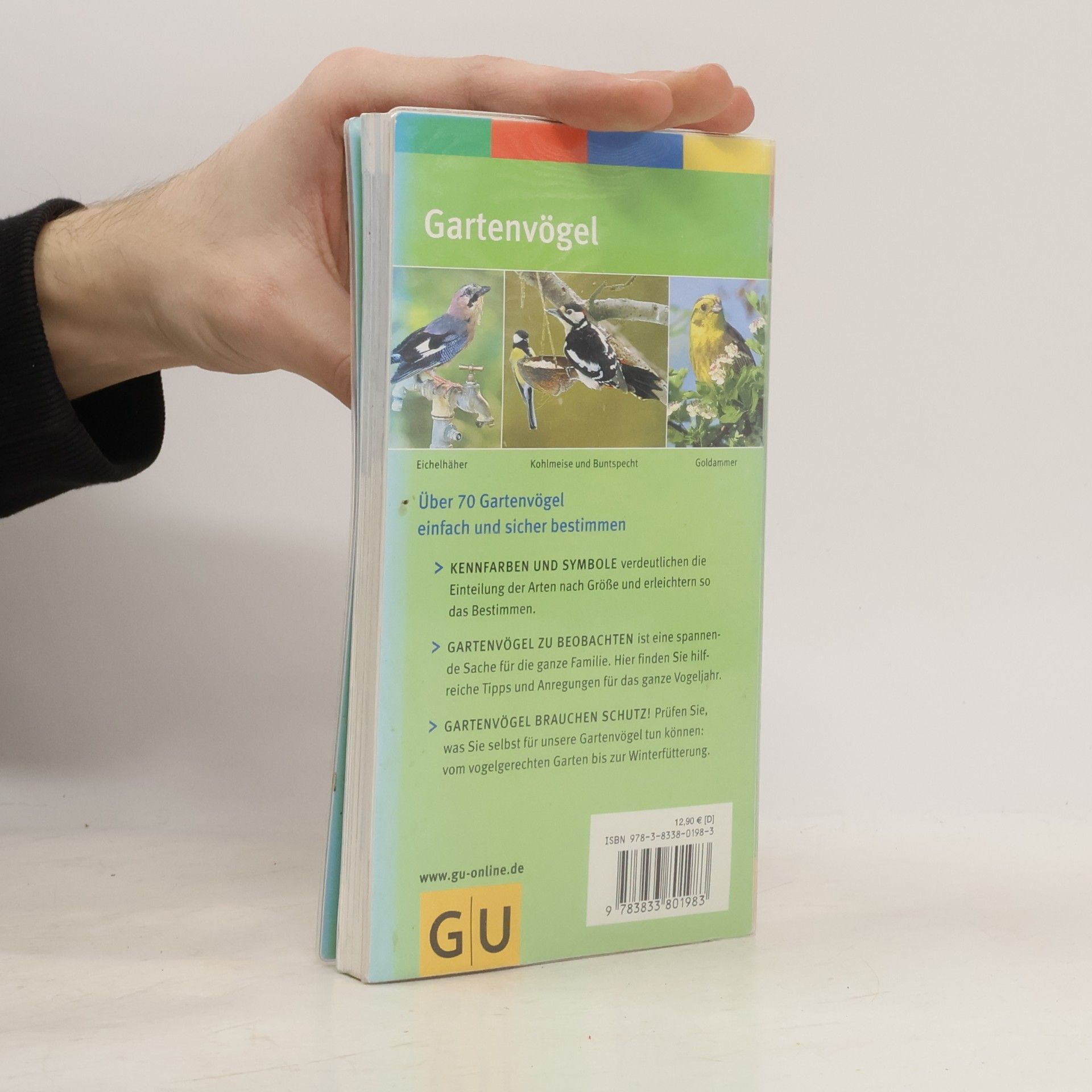 Helga Hofmann Gartenvögel beobachten, bestimmen, schützen ; [über 70 häufige Arten]