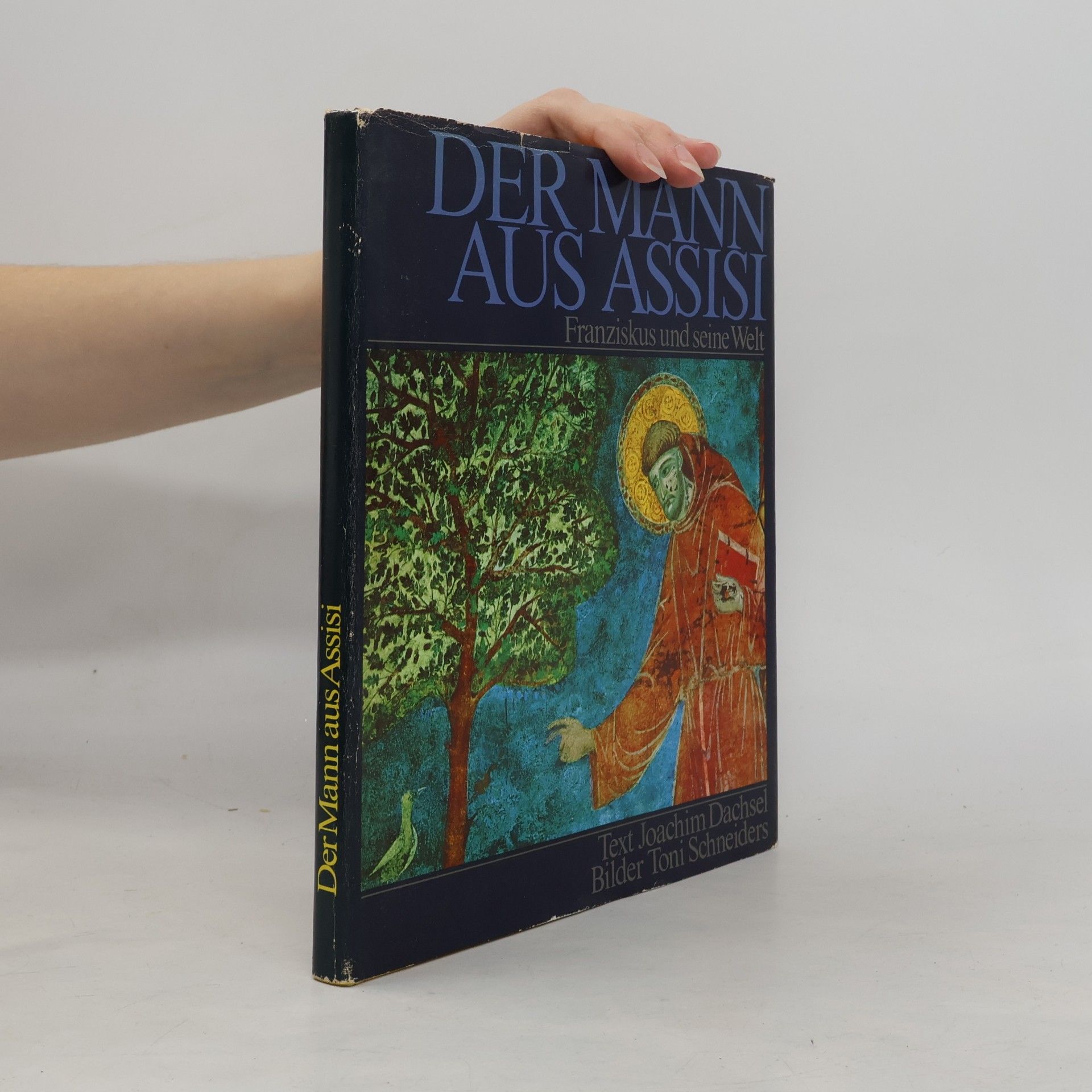 Autorenkollektiv Der Mann aus Assisi. Franziskus und seine Welt