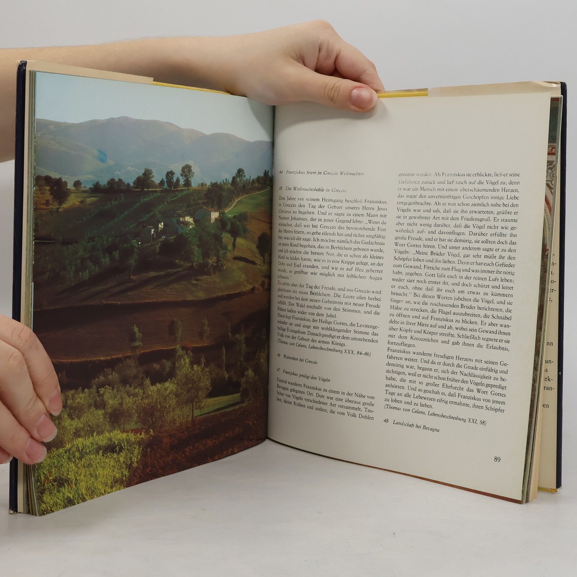 Autorenkollektiv Der Mann aus Assisi. Franziskus und seine Welt