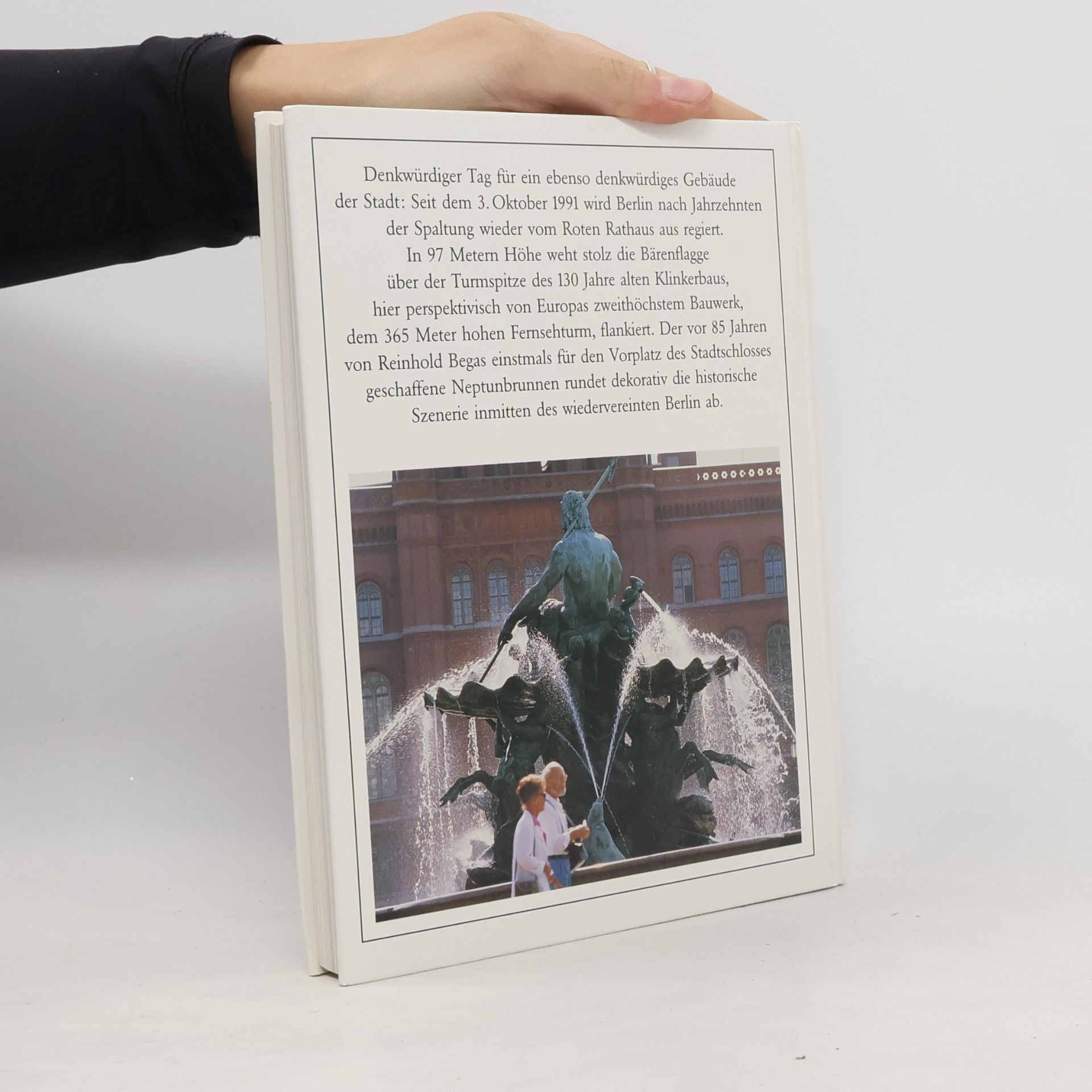 Autorenkollektiv Berlin '91. Das Jahr im Rückspiegel