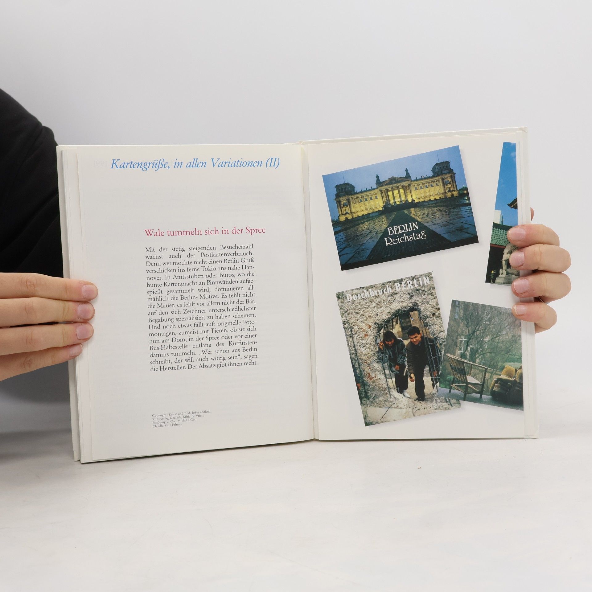 Autorenkollektiv Berlin '91. Das Jahr im Rückspiegel
