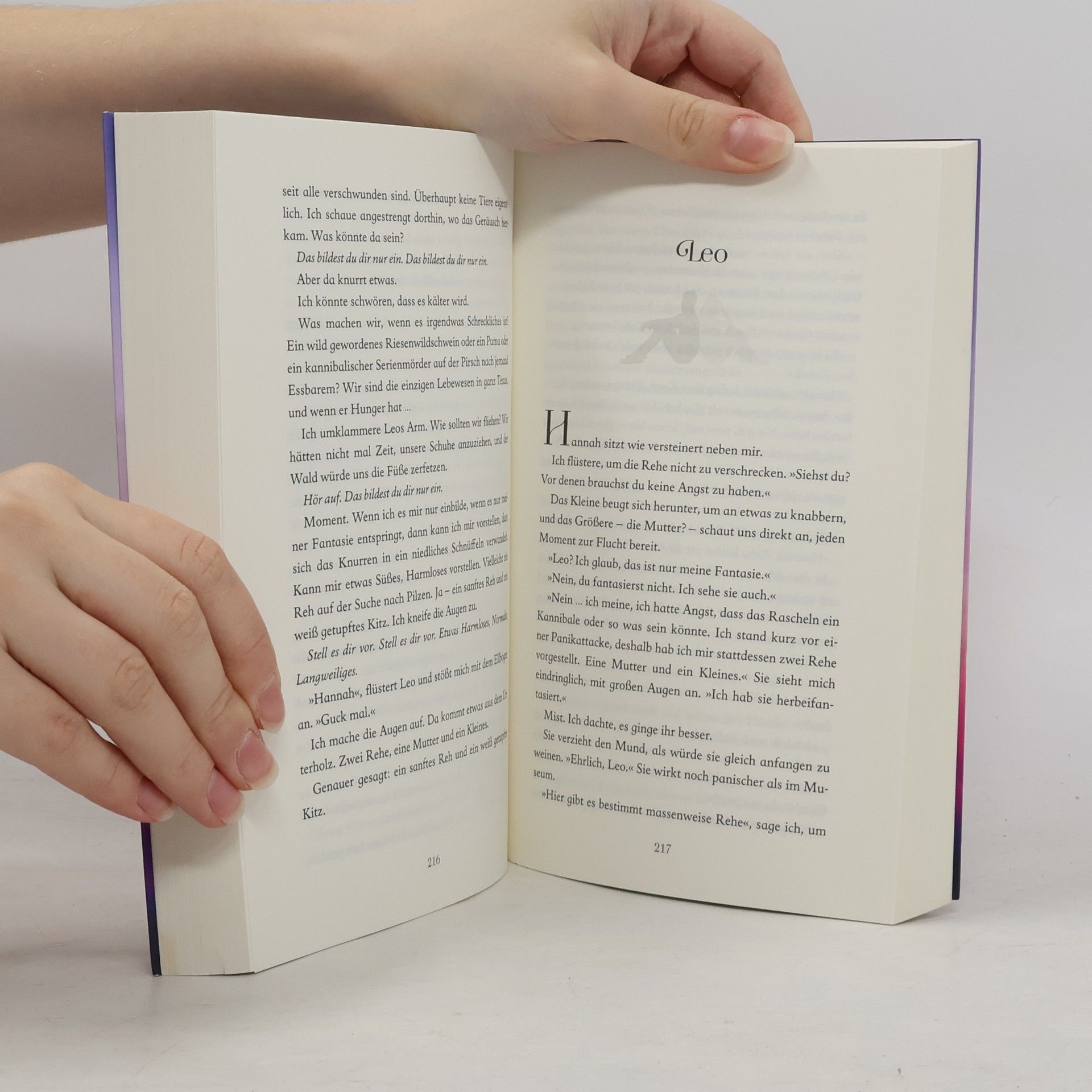 Brianna Bourne Du & ich und das Ende der Welt