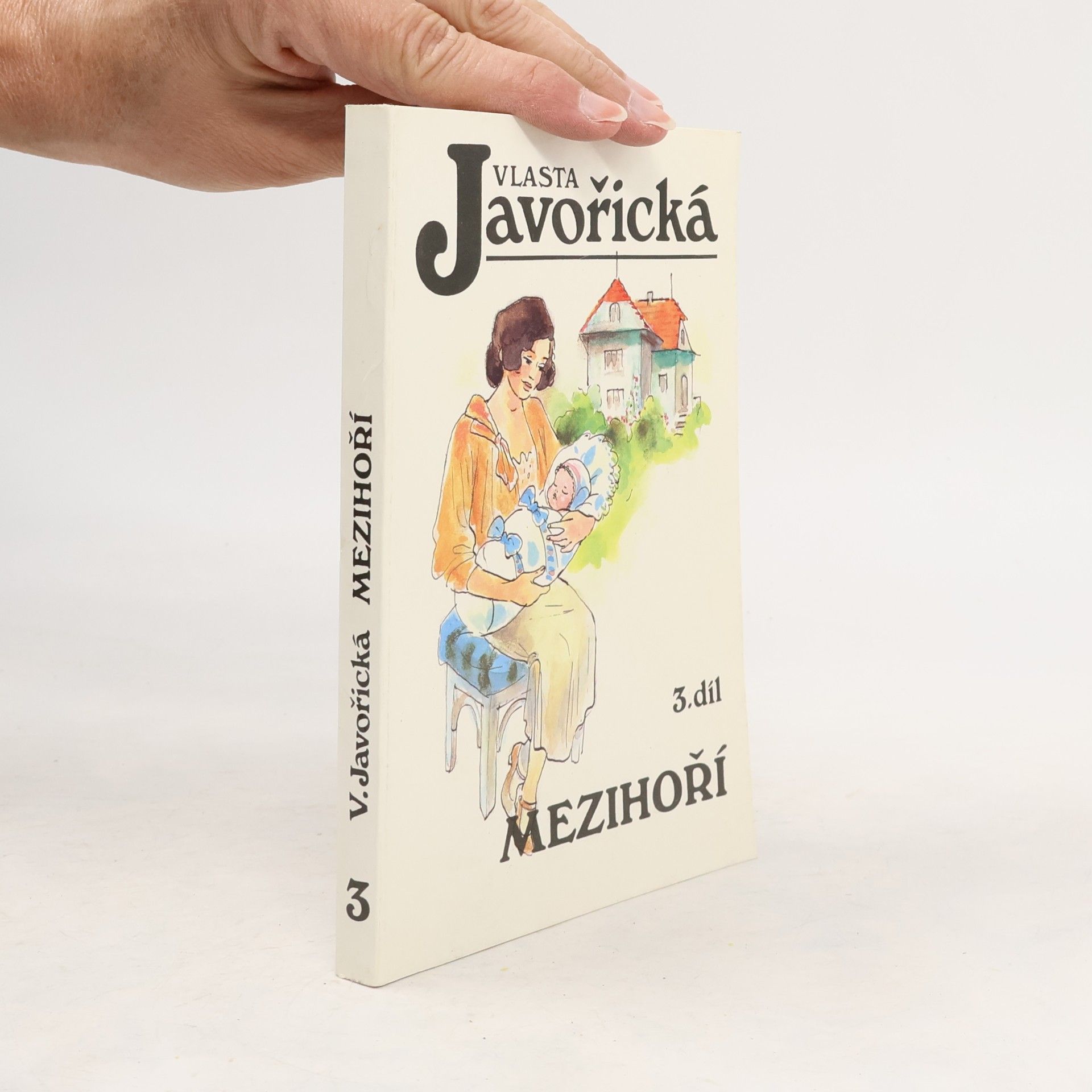Mezihoří 3