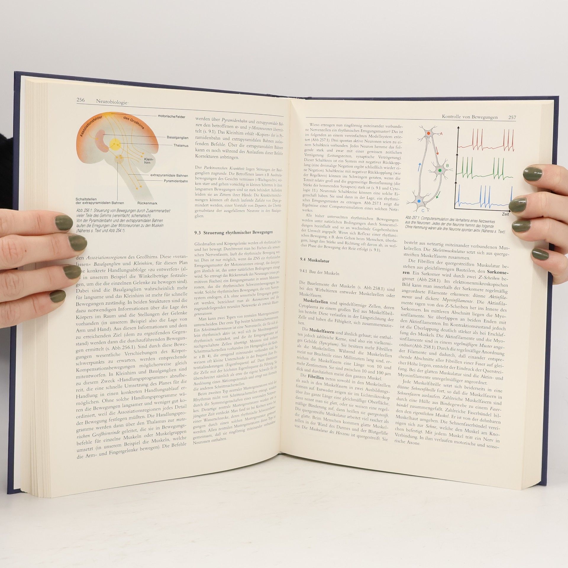 Horst Bayrhuber Linder Biologie