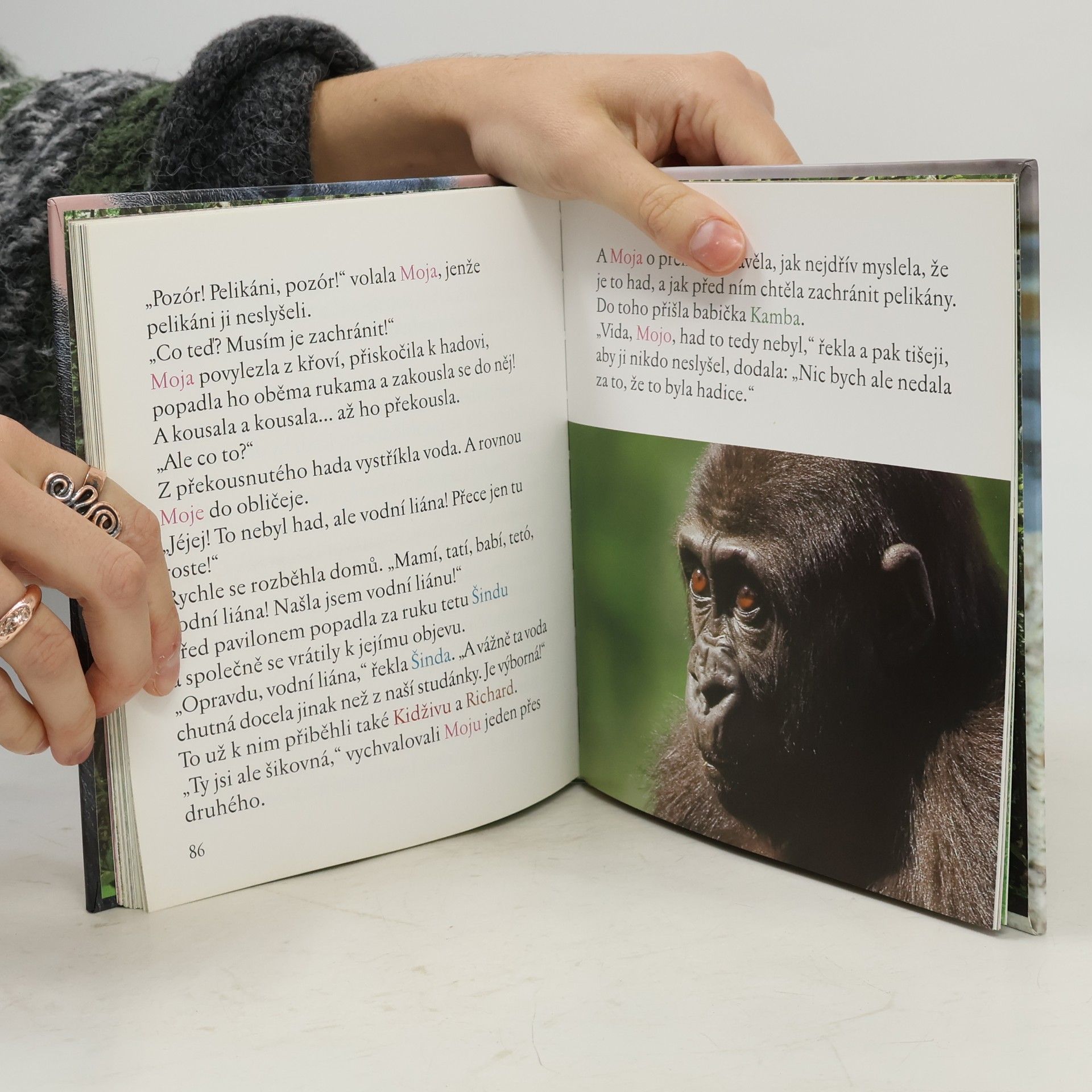 Tereza Šefrnová Moja a páv: Gorilí pohádky