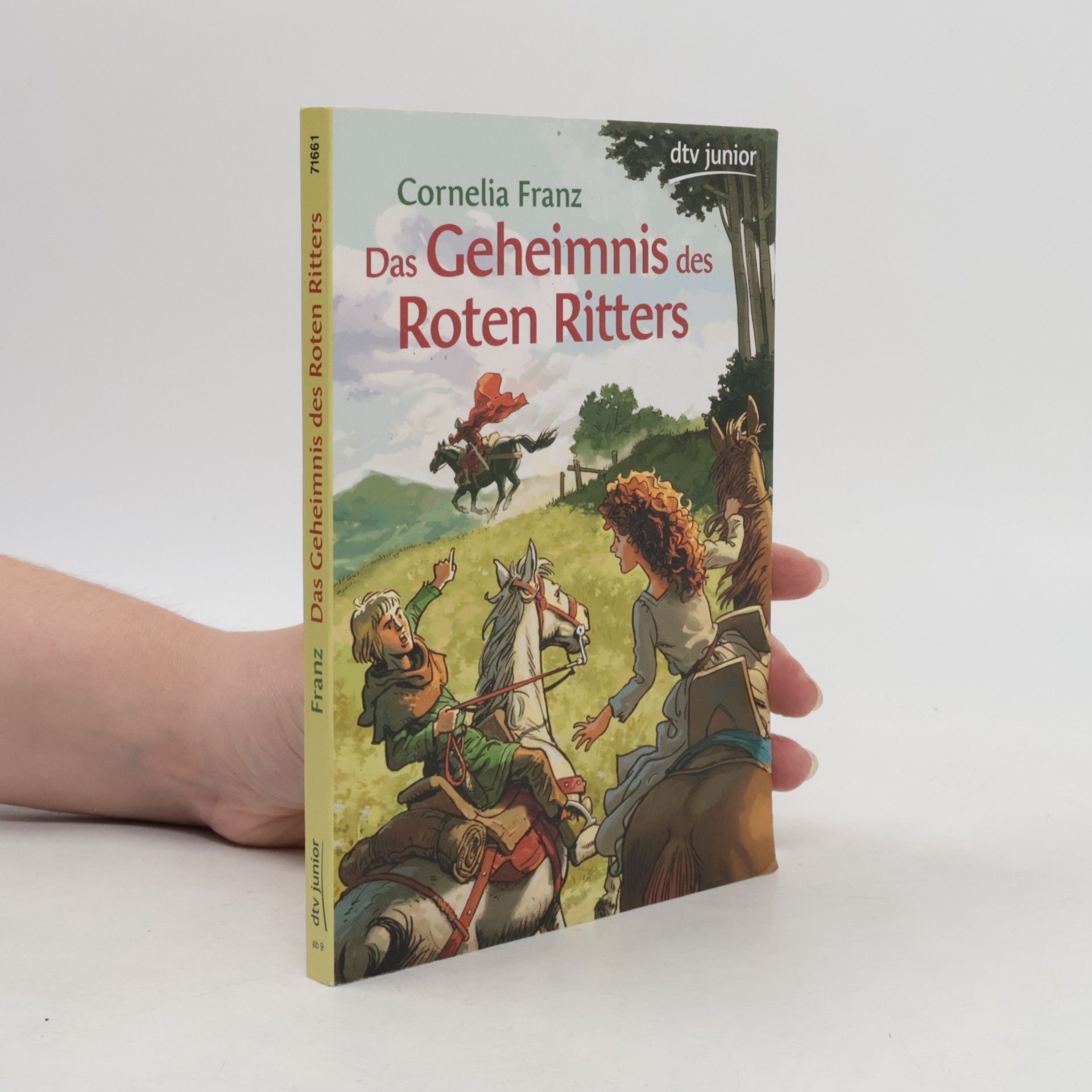 Das Geheimnis des roten Ritters