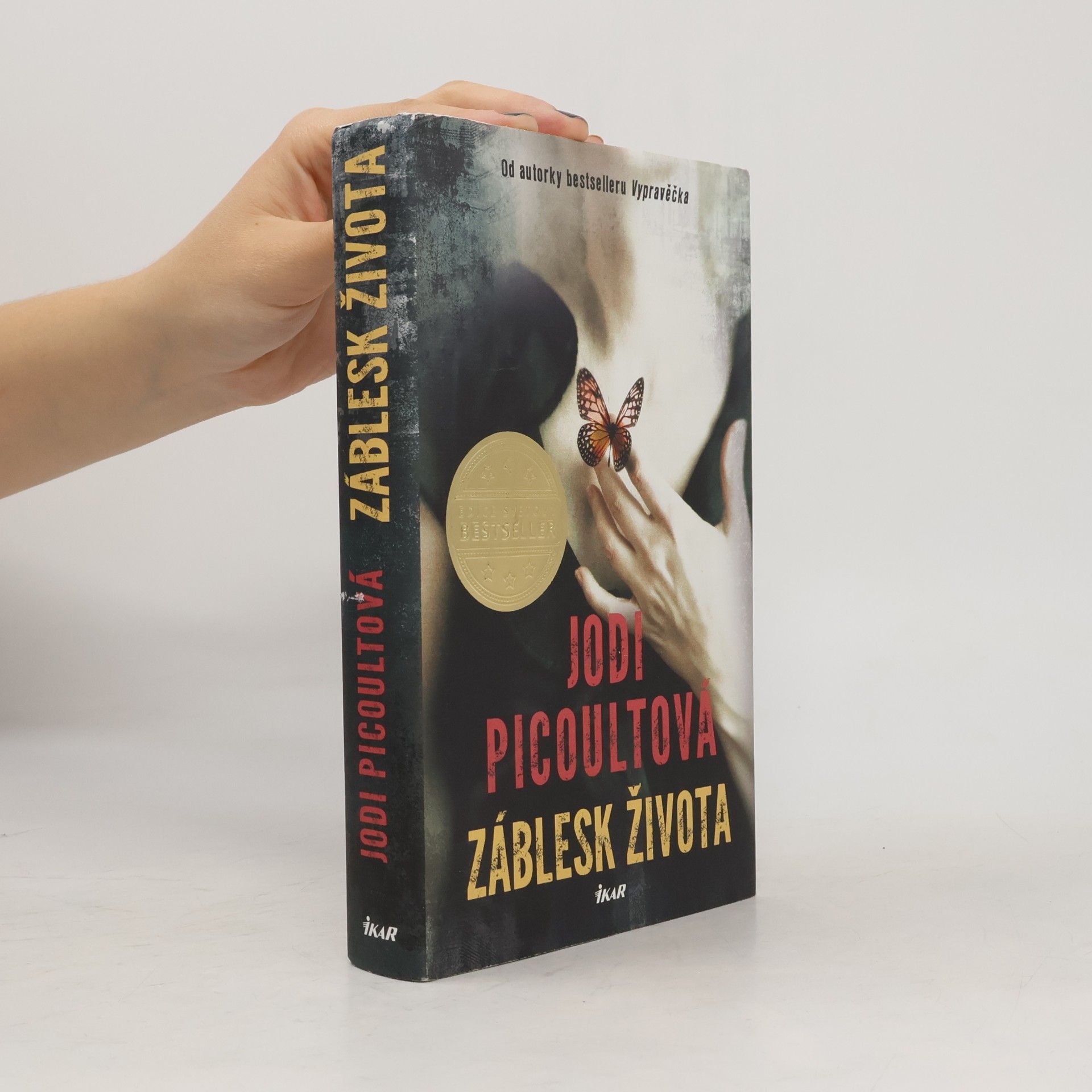 Jodi Picoult Záblesk života