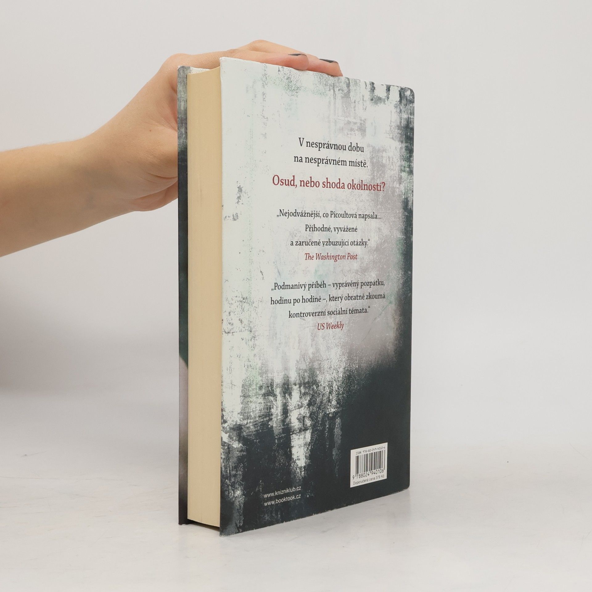 Jodi Picoult Záblesk života