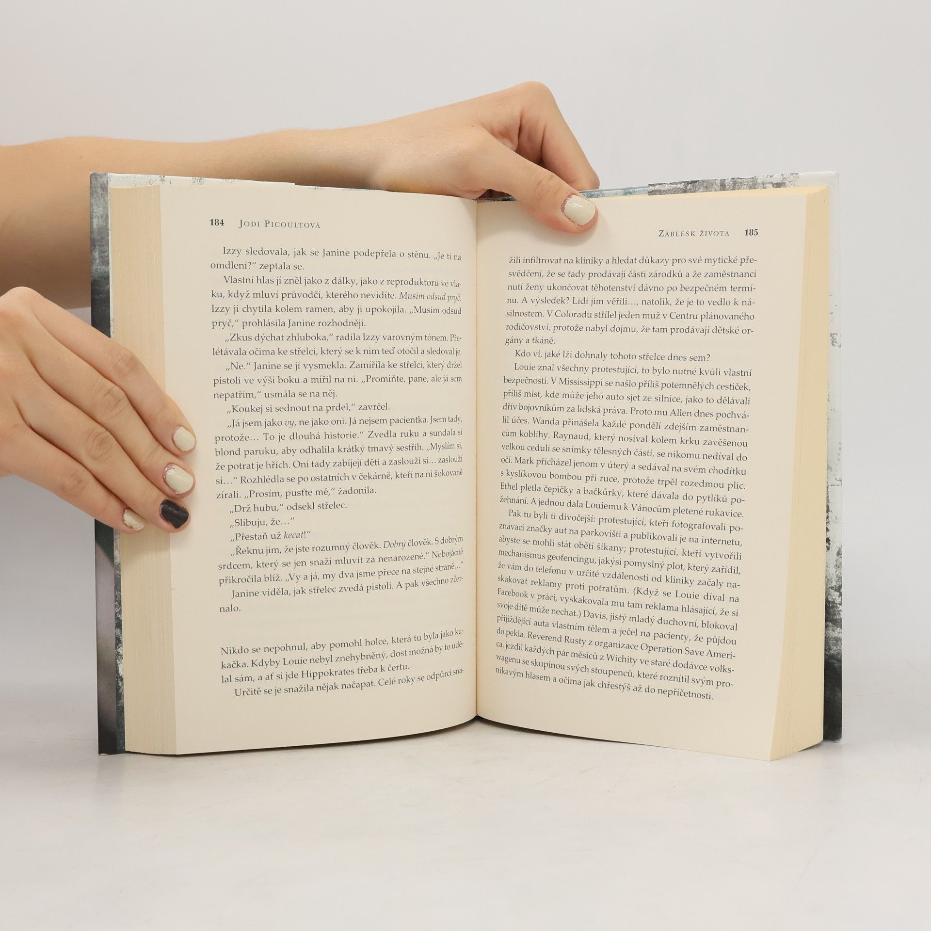 Jodi Picoult Záblesk života