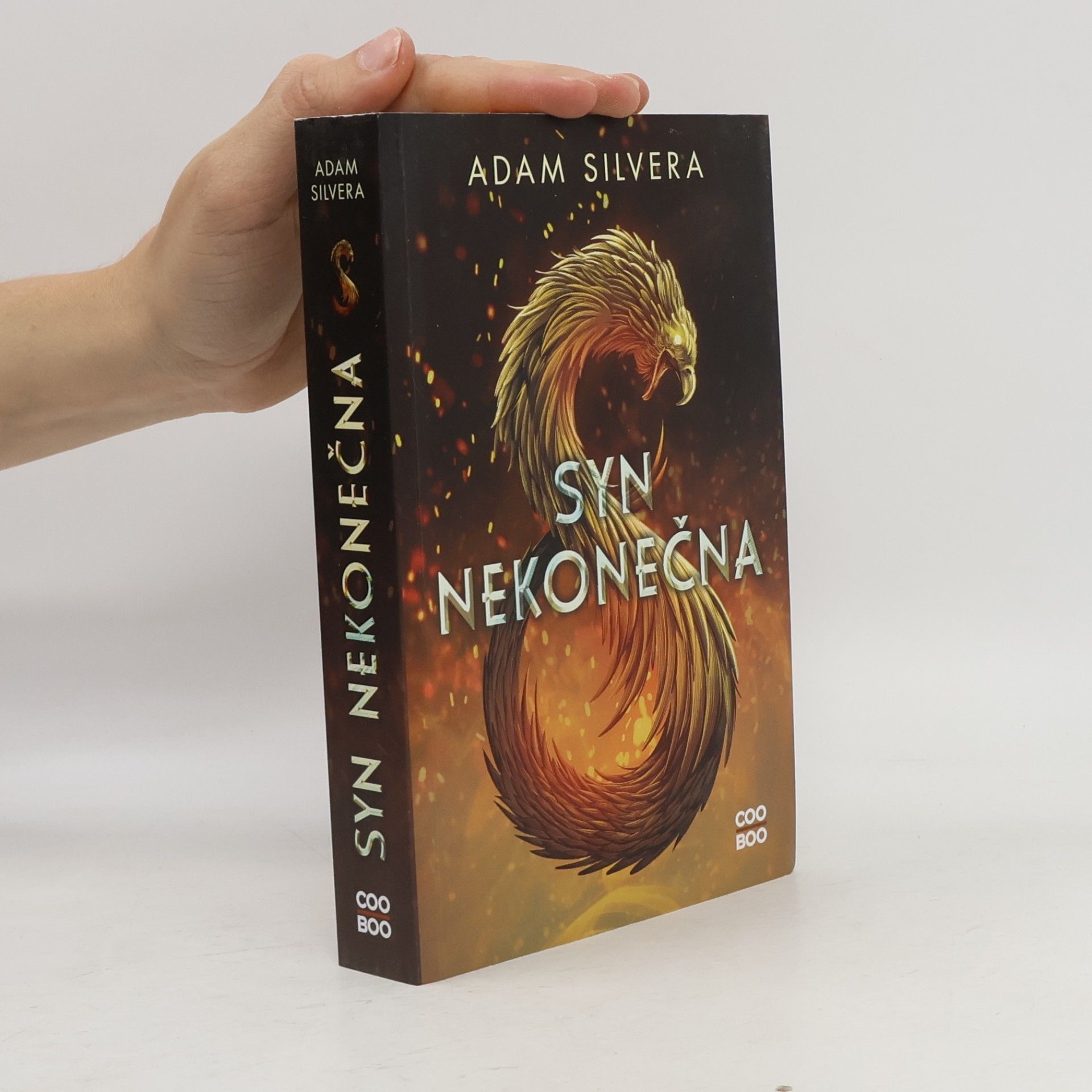 Syn nekonečna