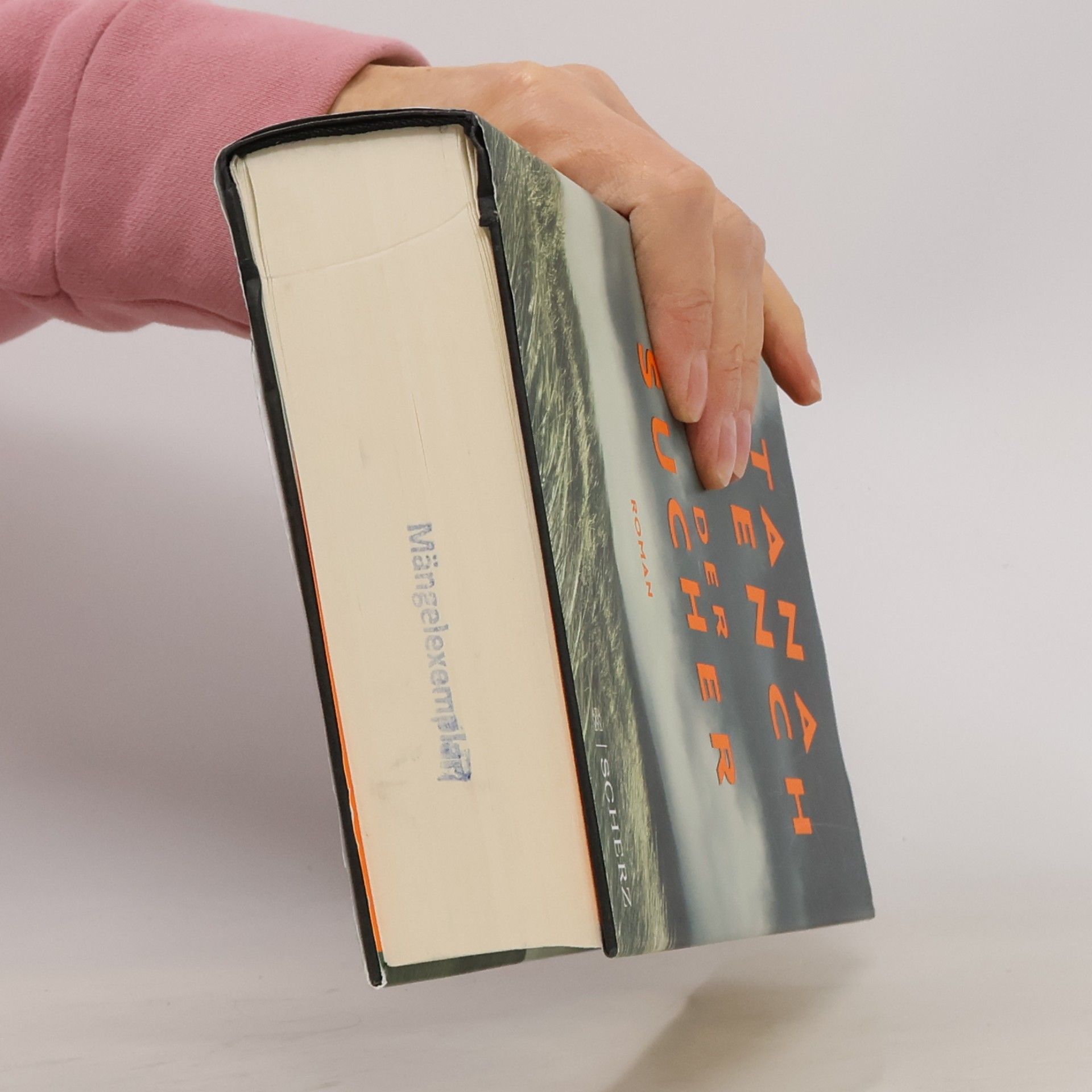Tana French Der Sucher