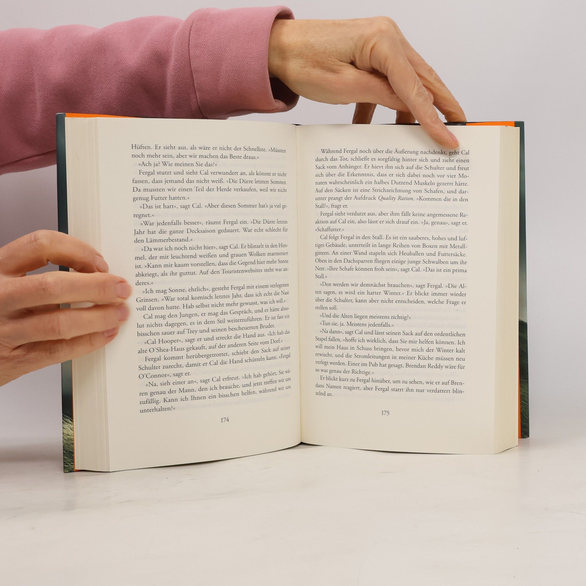 Tana French Der Sucher