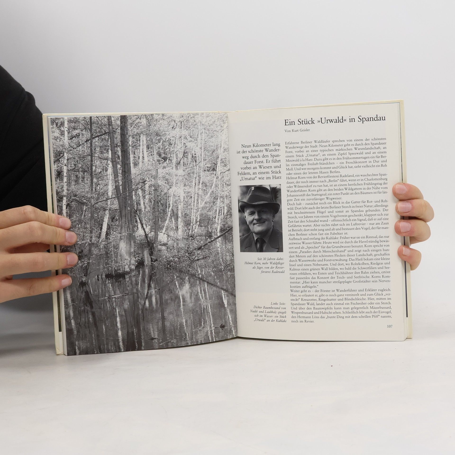 Autorenkollektiv Berlin '83. Das Jahr im Rückspiegel