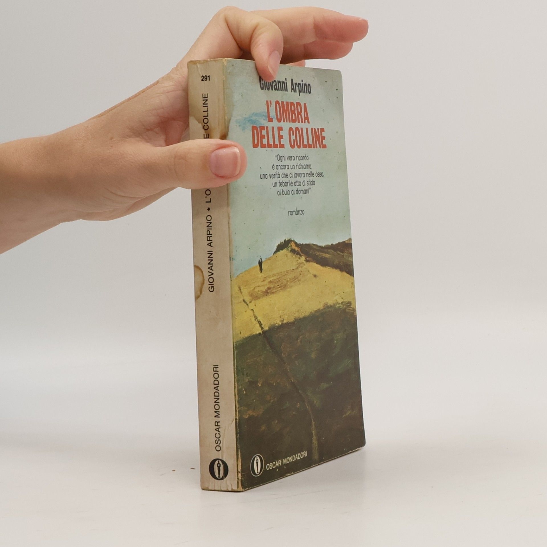 L'ombra delle colline