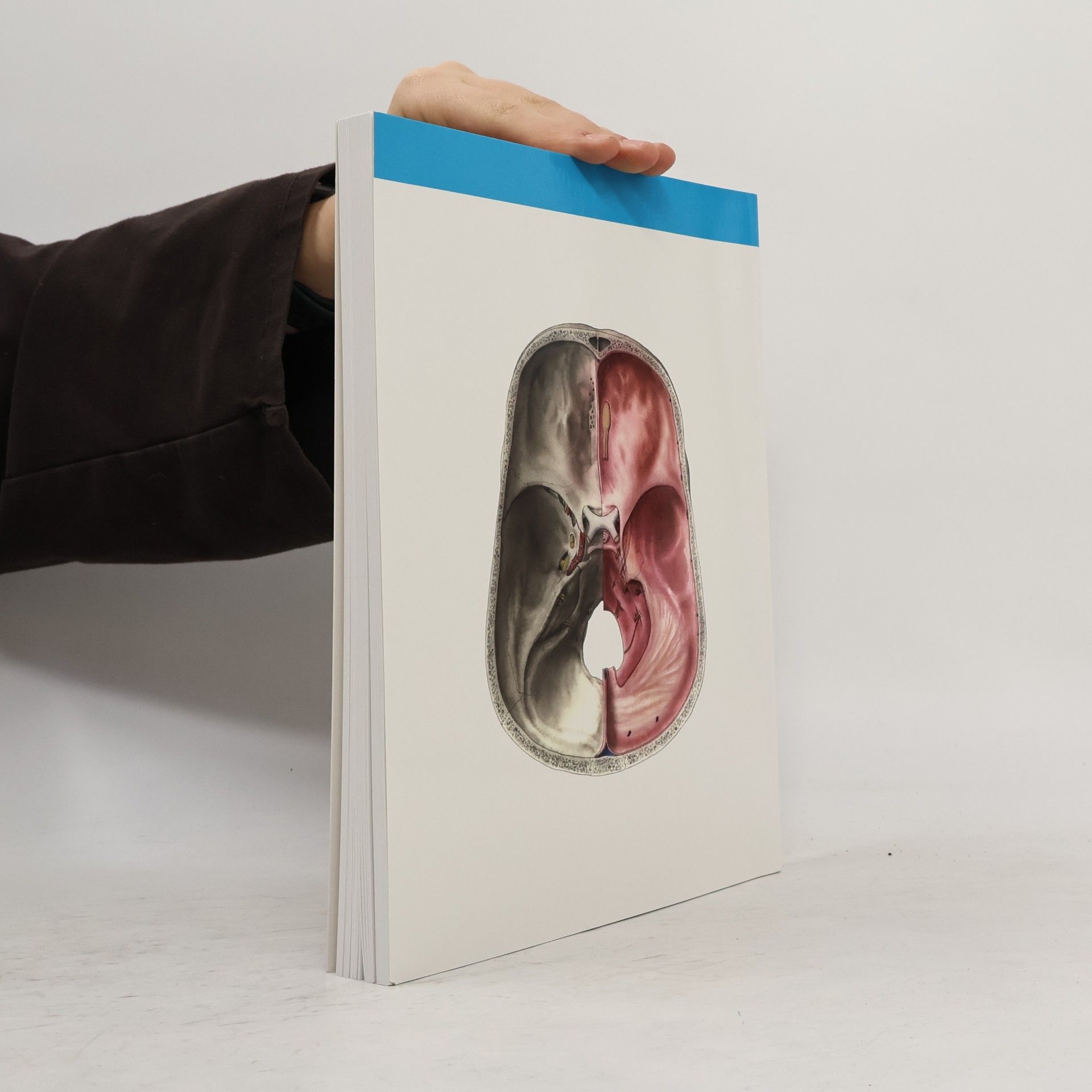 Radomír Čihák Anatomie 3. Svazky I-III