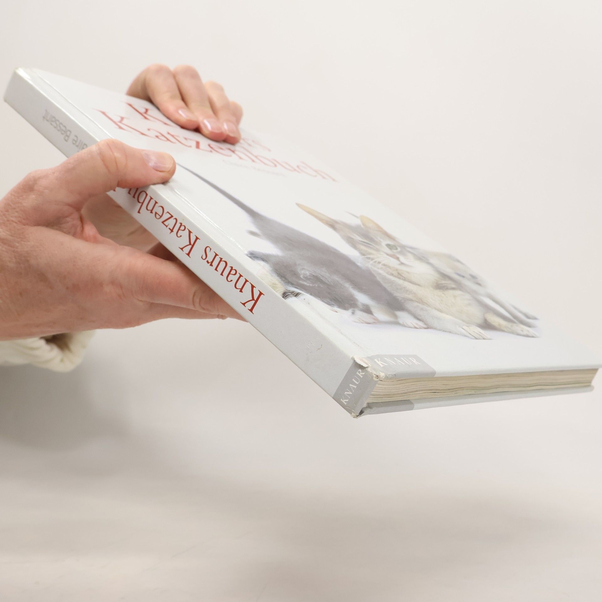 Claire Bessant Knaurs Katzenbuch