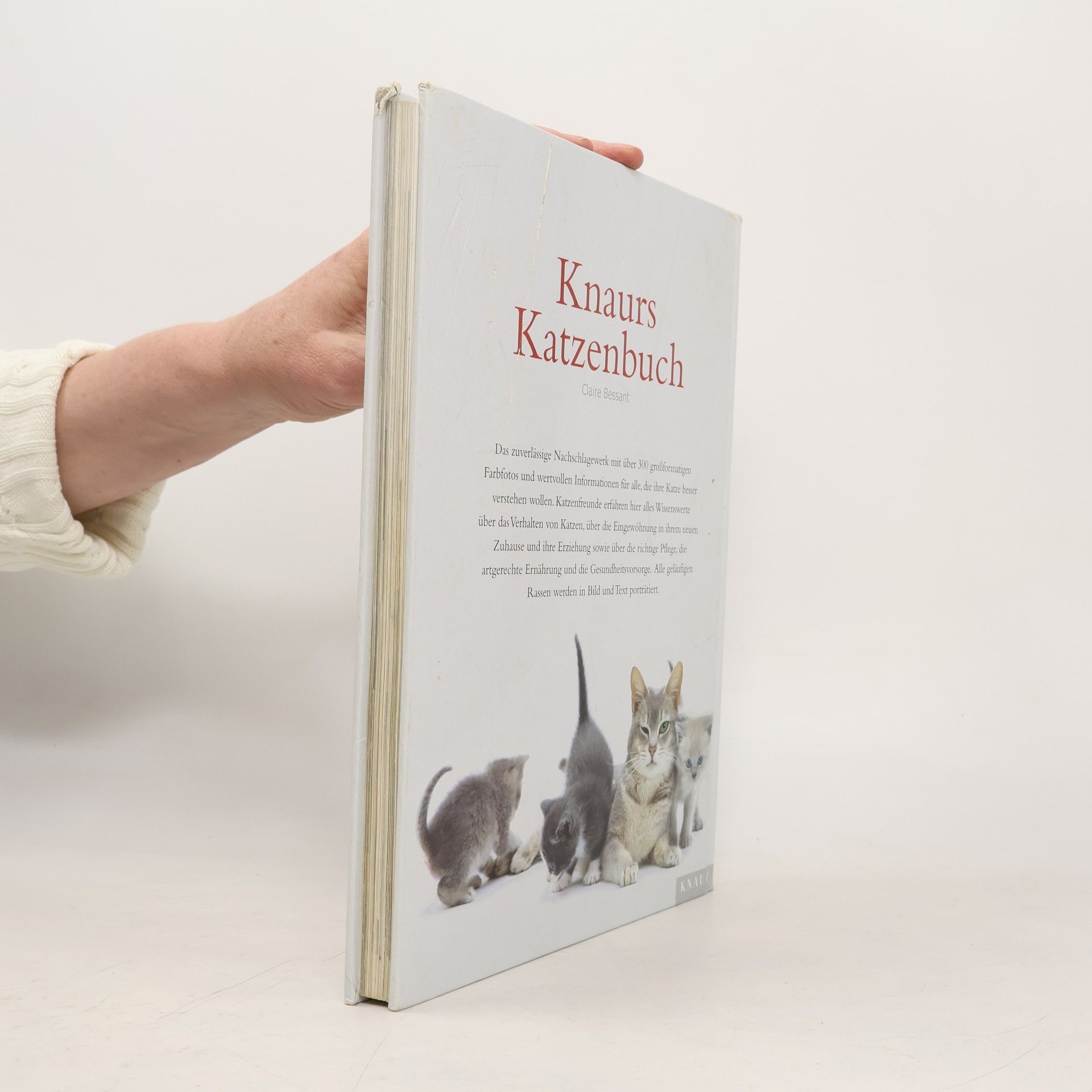 Claire Bessant Knaurs Katzenbuch