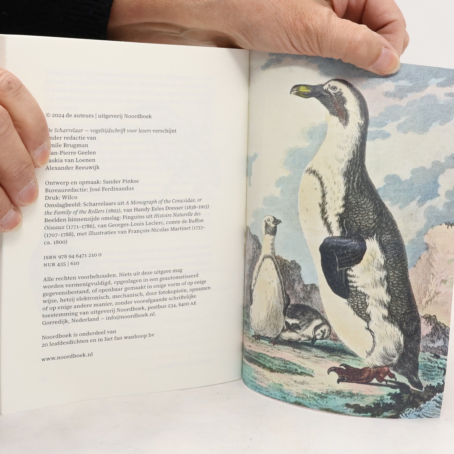 Tom Hofland De Scharrelaar - 11: Vogeltijdschrift voor lezers