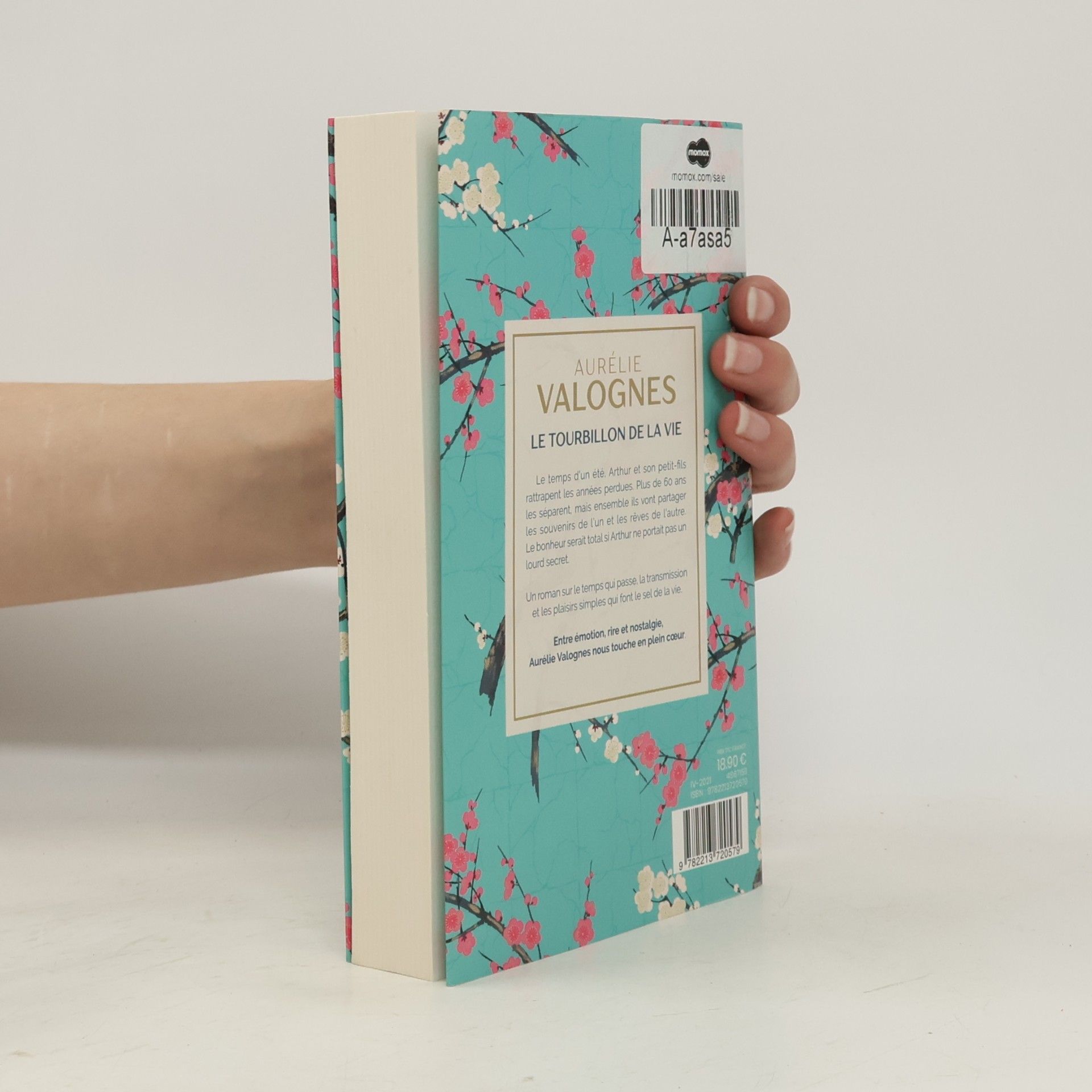 Aurélie Valognes Le tourbillon de la vie