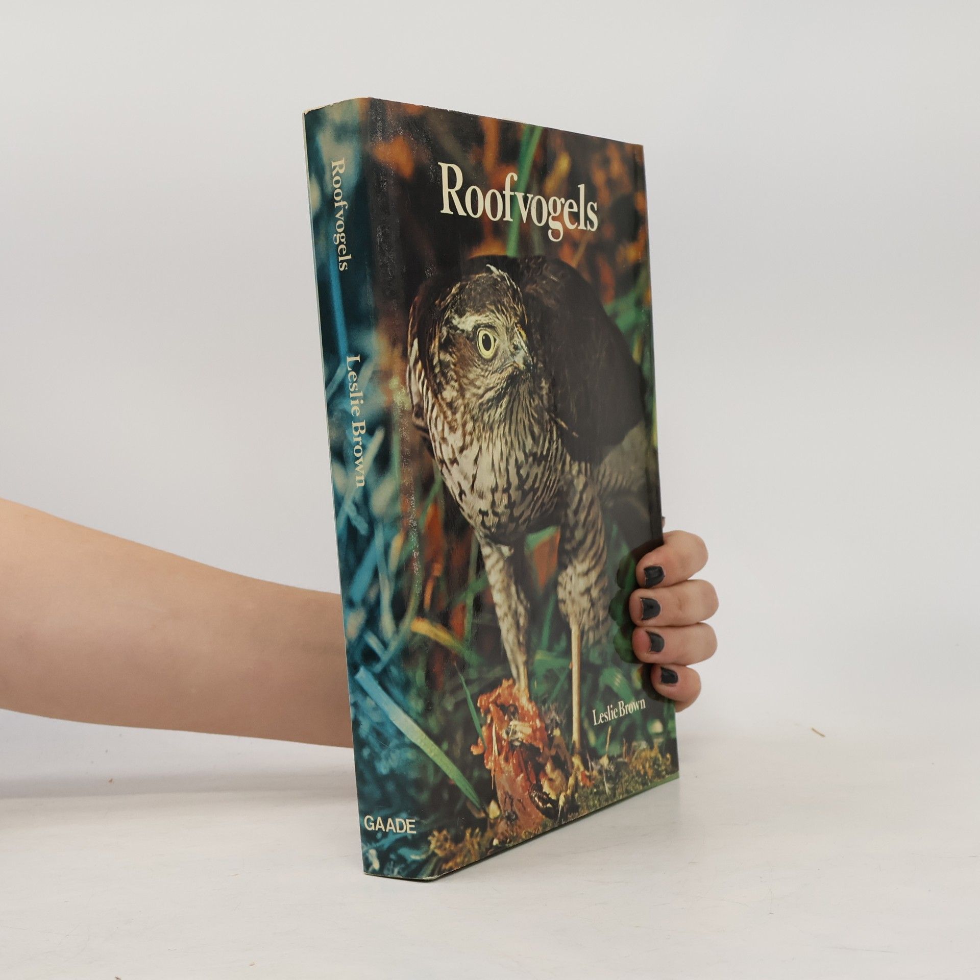 Roofvogels