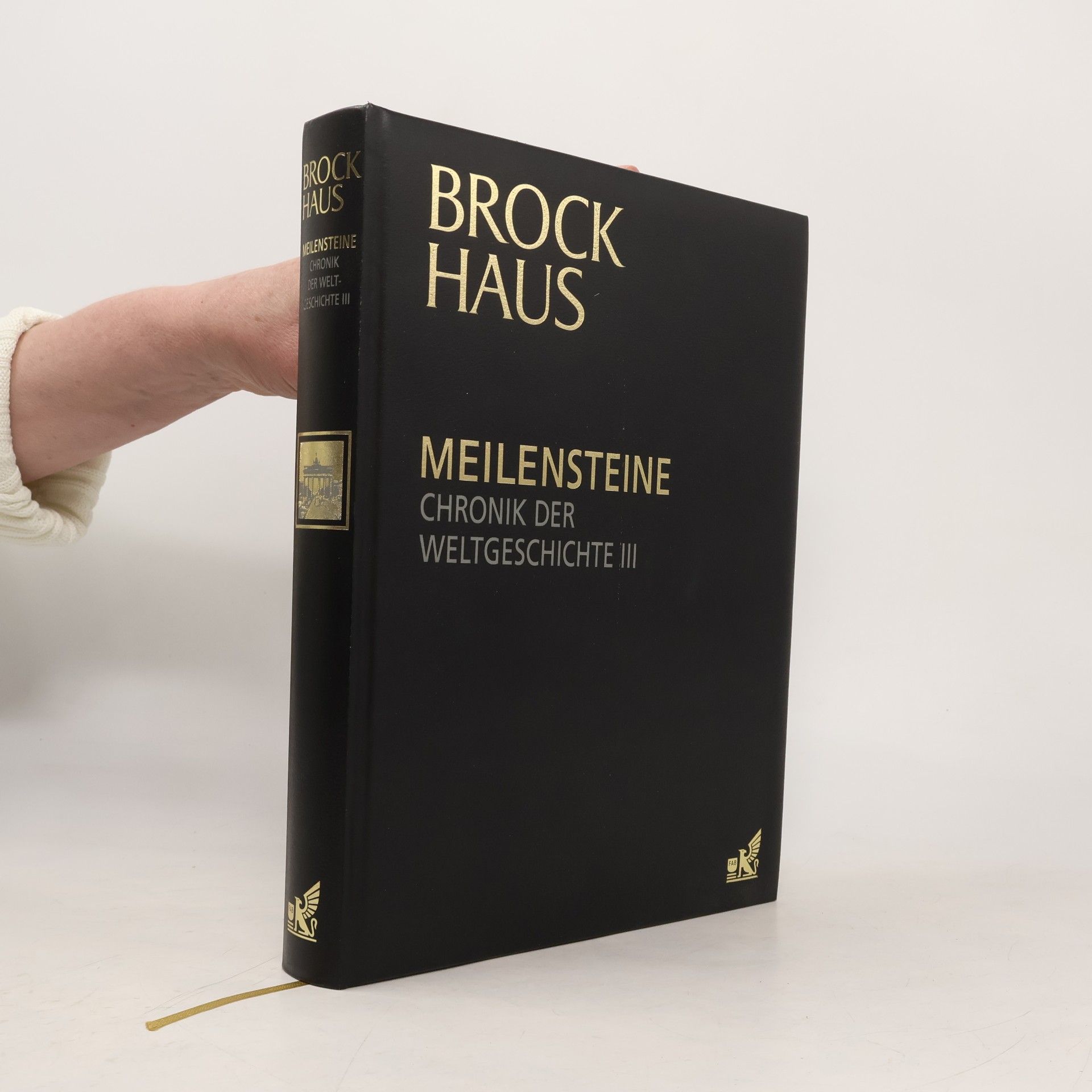 Meilensteine. Chronik der Weltgeschichte III