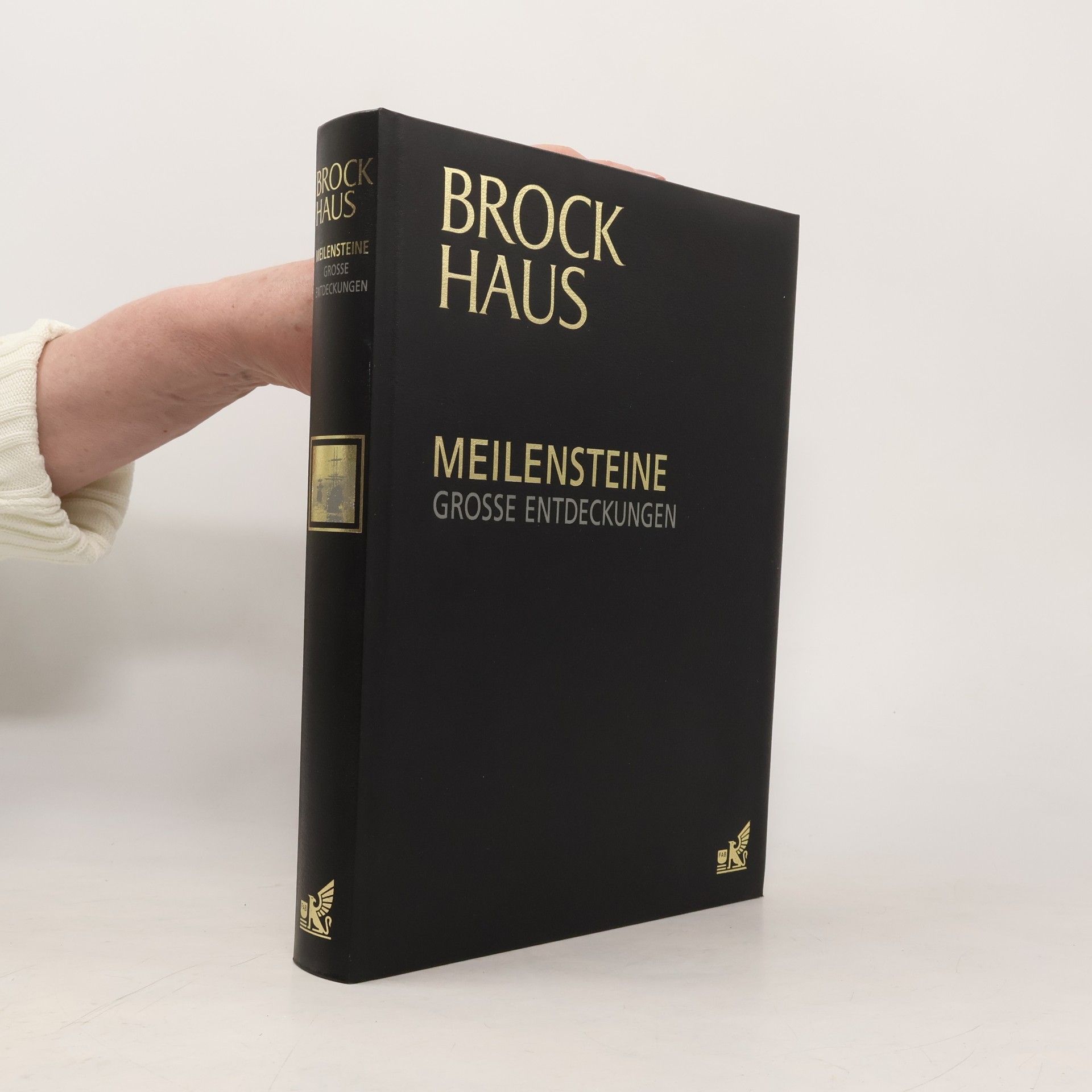 Autorenkollektiv Meilensreine. Grosse Entdeckungen