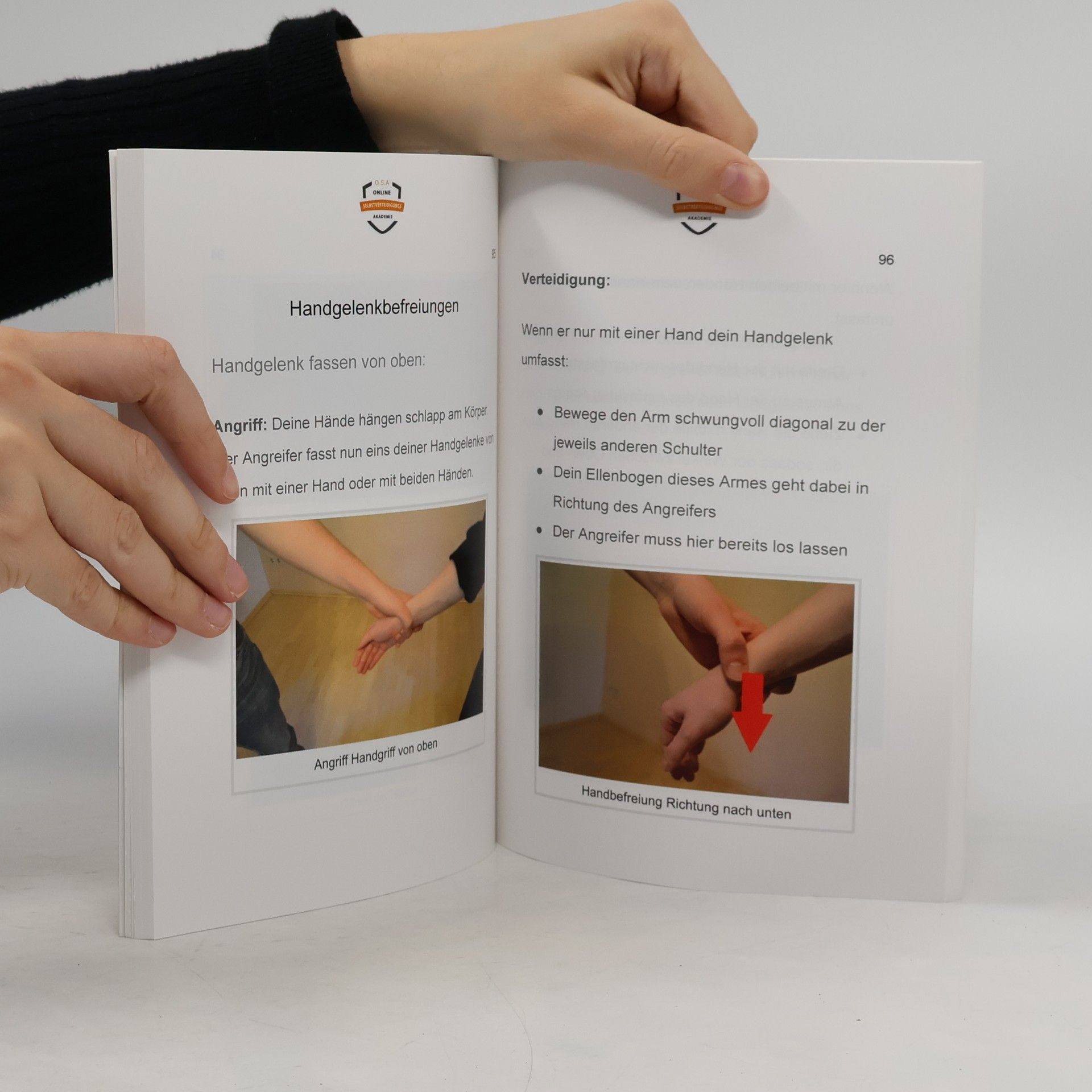 Autorenkollektiv Das Buch der 1000 blitz Verteidigungen