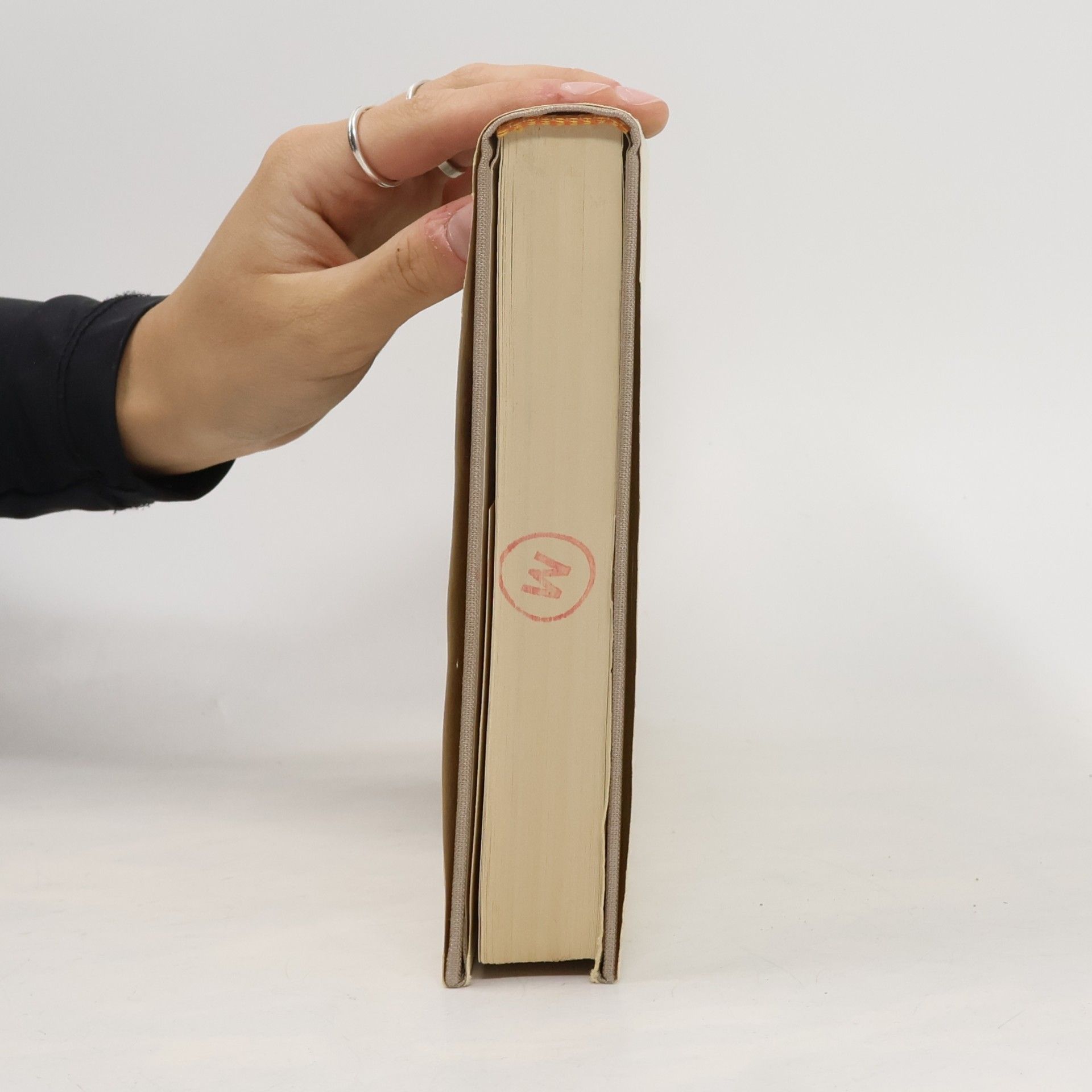 Reiner Zimnik Das grosse Reiner-Zimnik-Geschichtenbuch