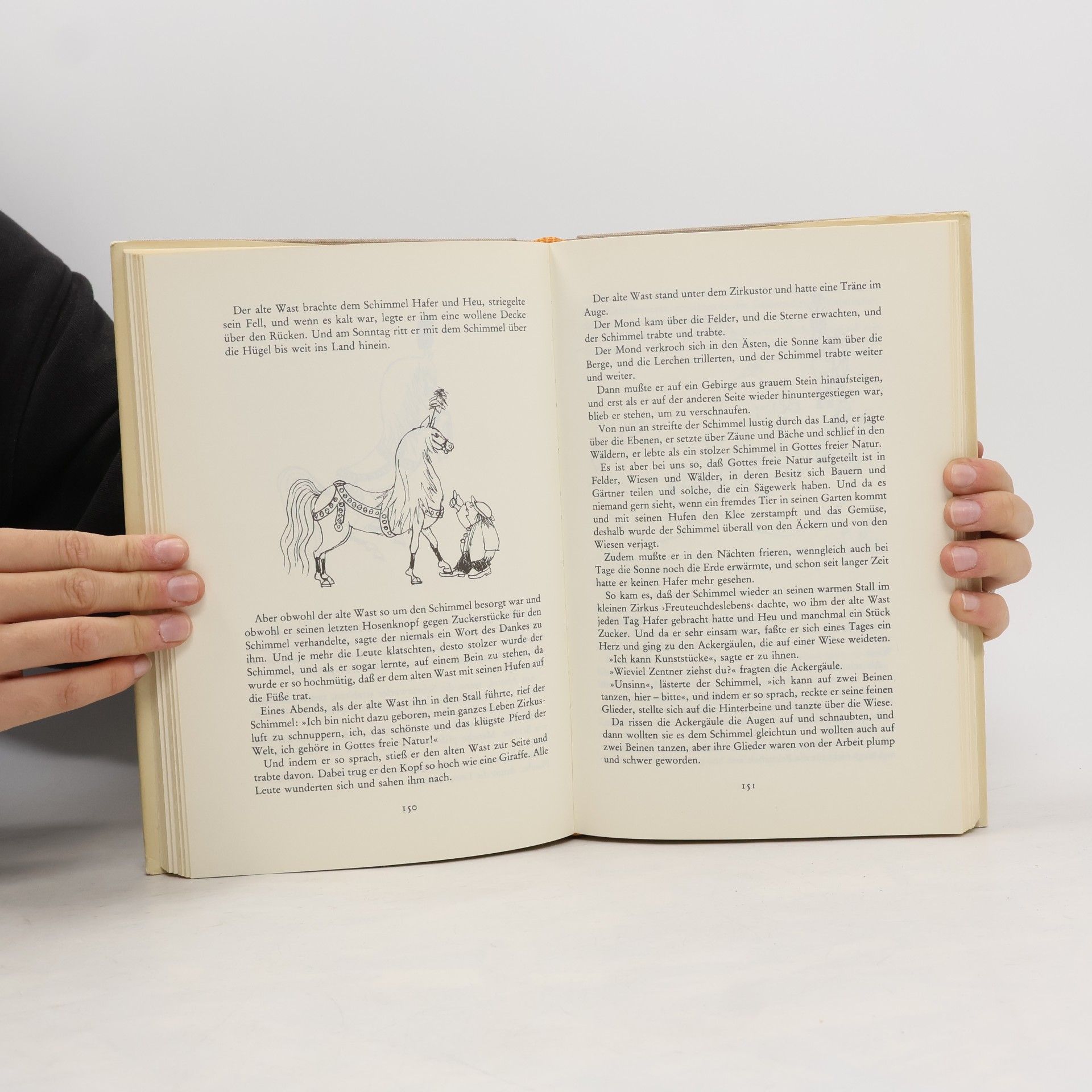 Reiner Zimnik Das grosse Reiner-Zimnik-Geschichtenbuch