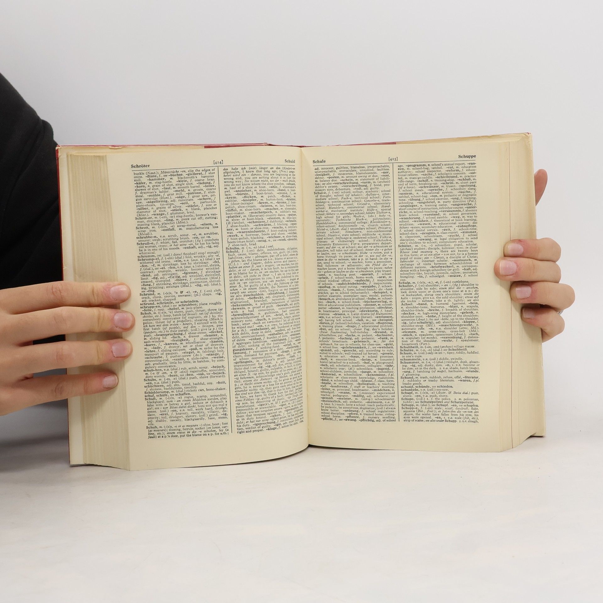 Betteridge Harold T. Cassel's New German Dictionary