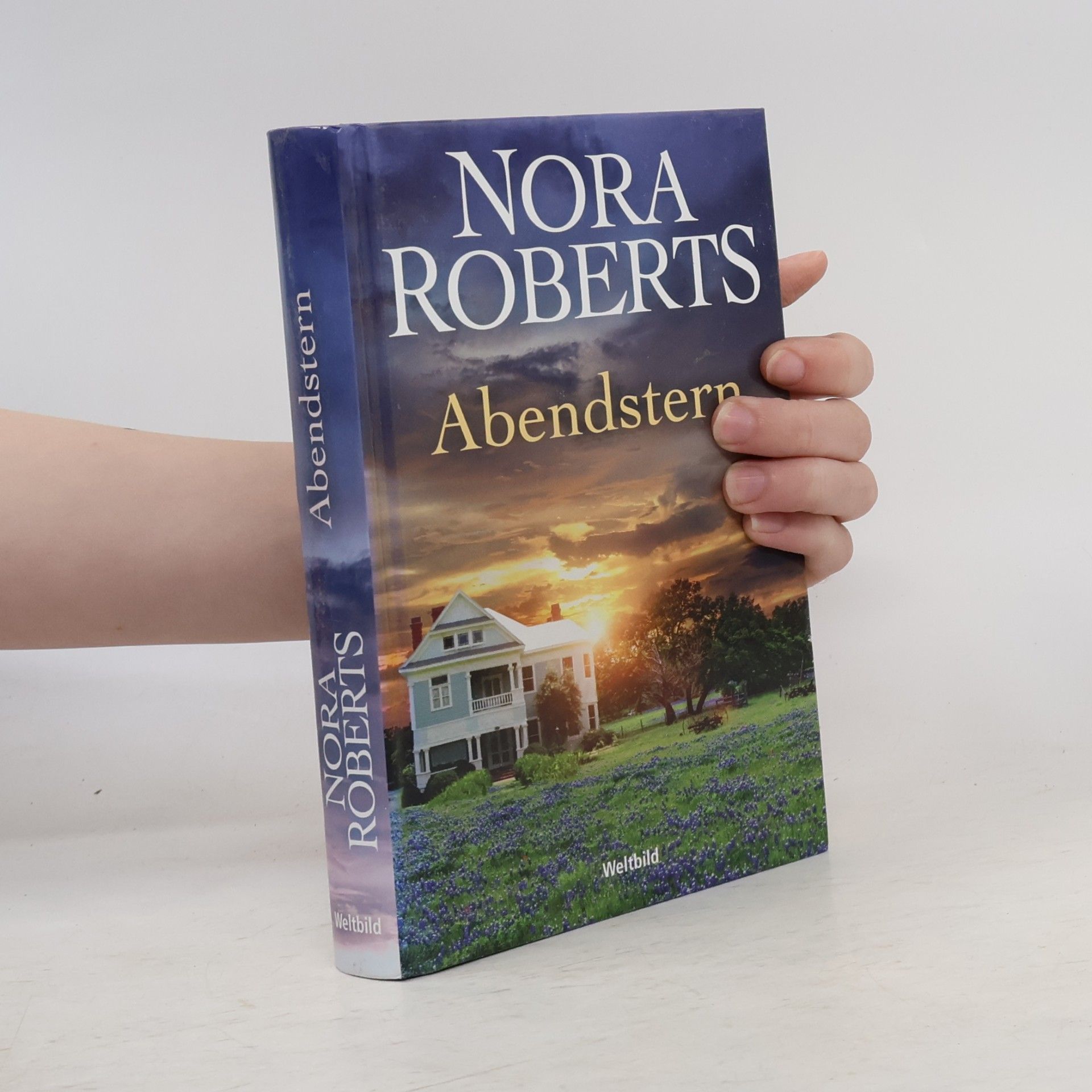Nora Roberts Abendstern