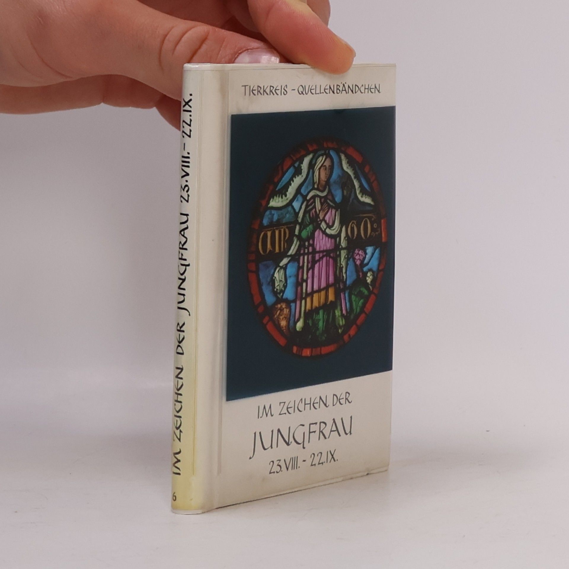 Kolektiv autorů Jungfrau