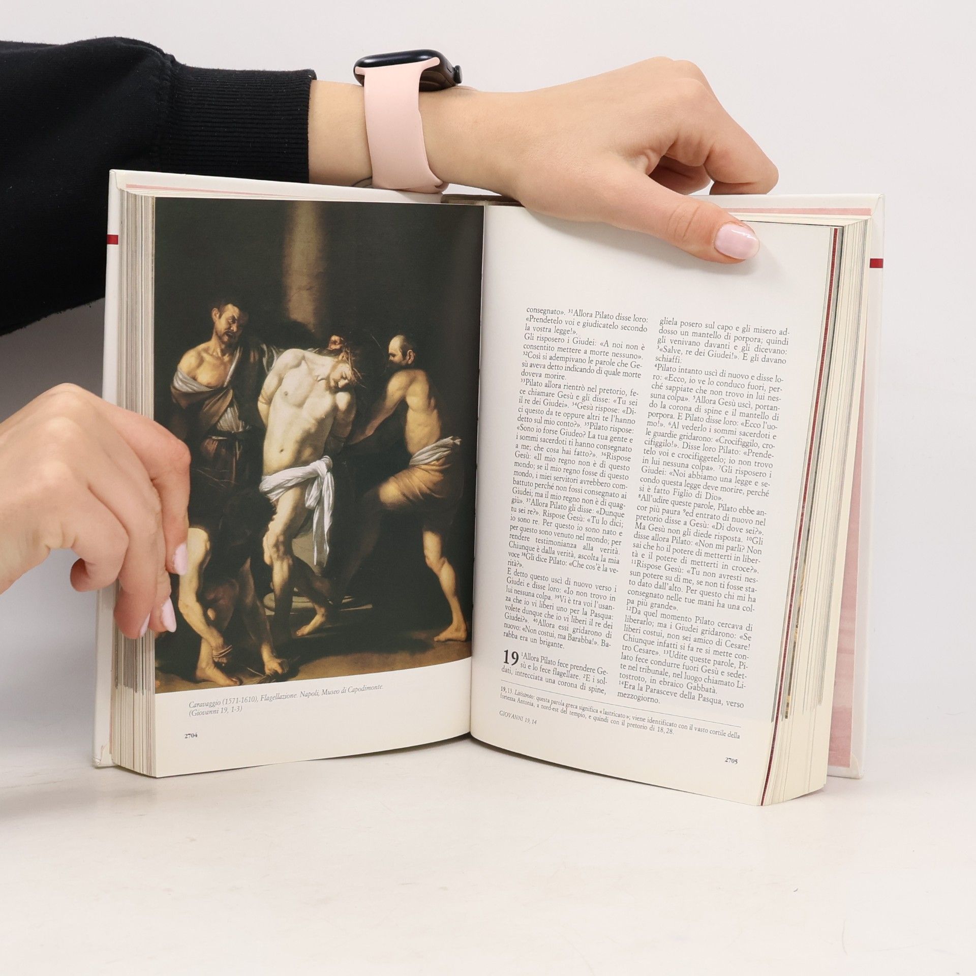 kolektiv La Bibbia. Nuovo Testamento