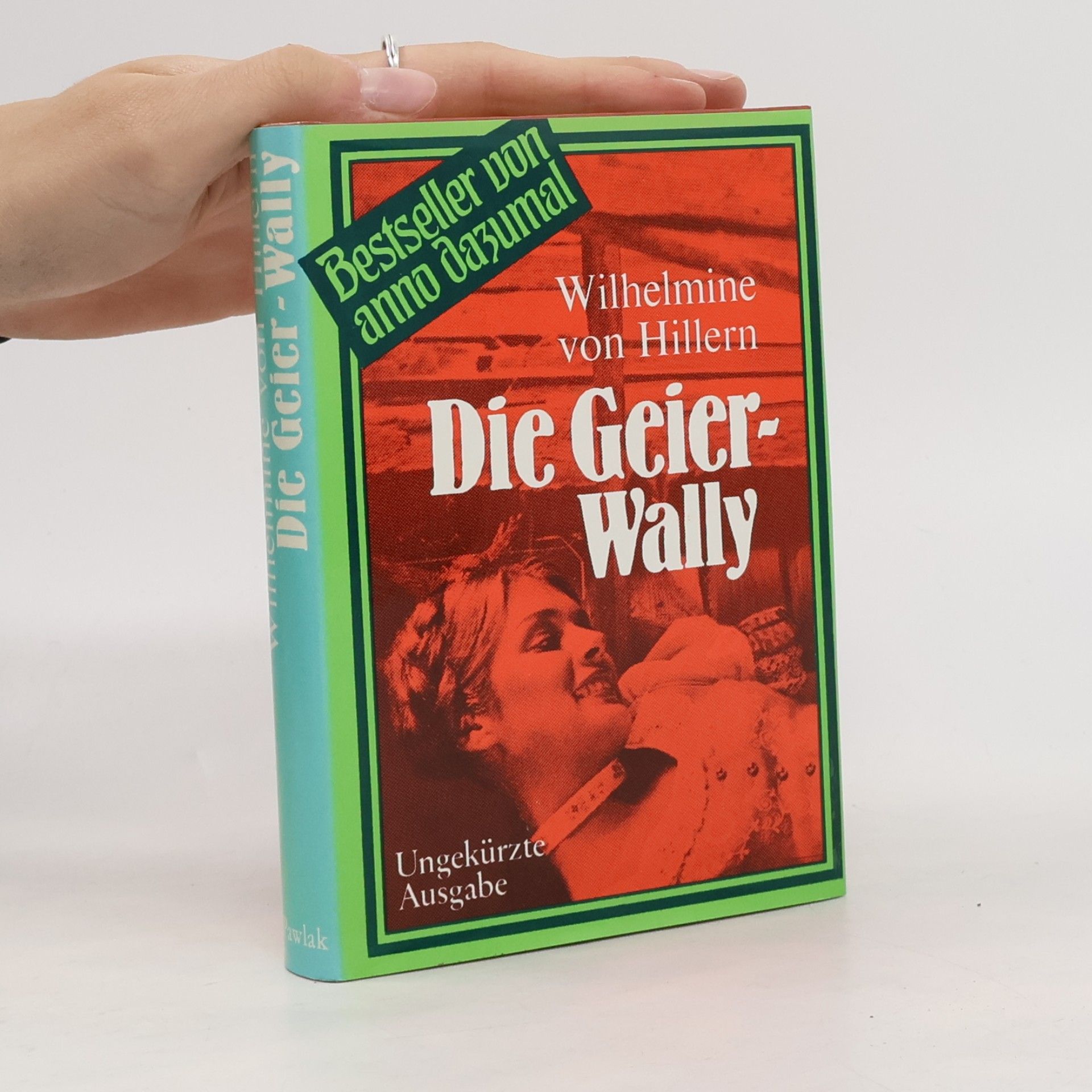 Wilhelmine von Hillern Die Geierwally