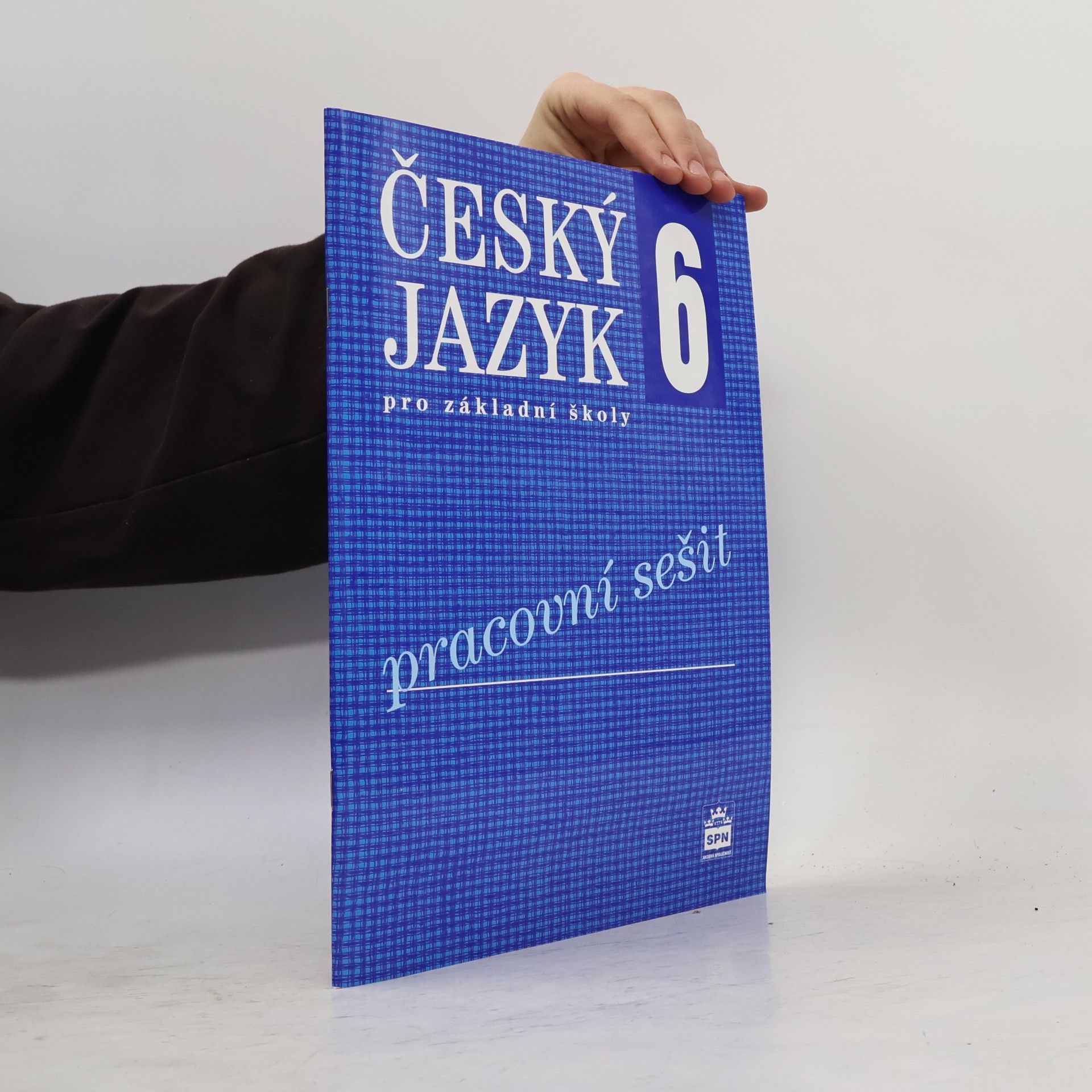 Český jazyk 6 pro základní školy : pracovní sešit