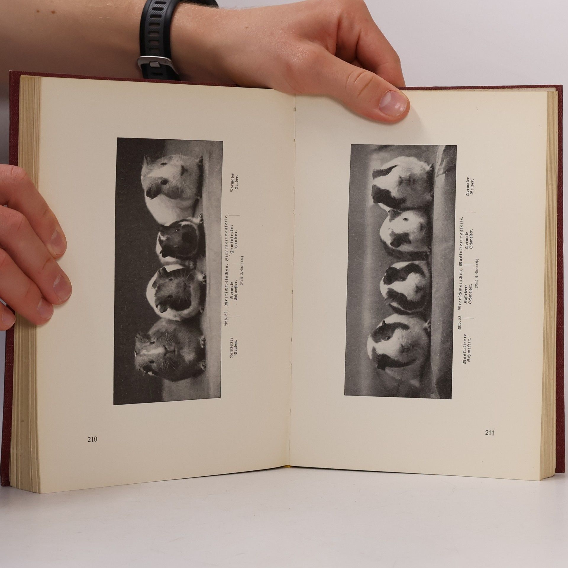 Paul Kammerer Allgemeine Biologie