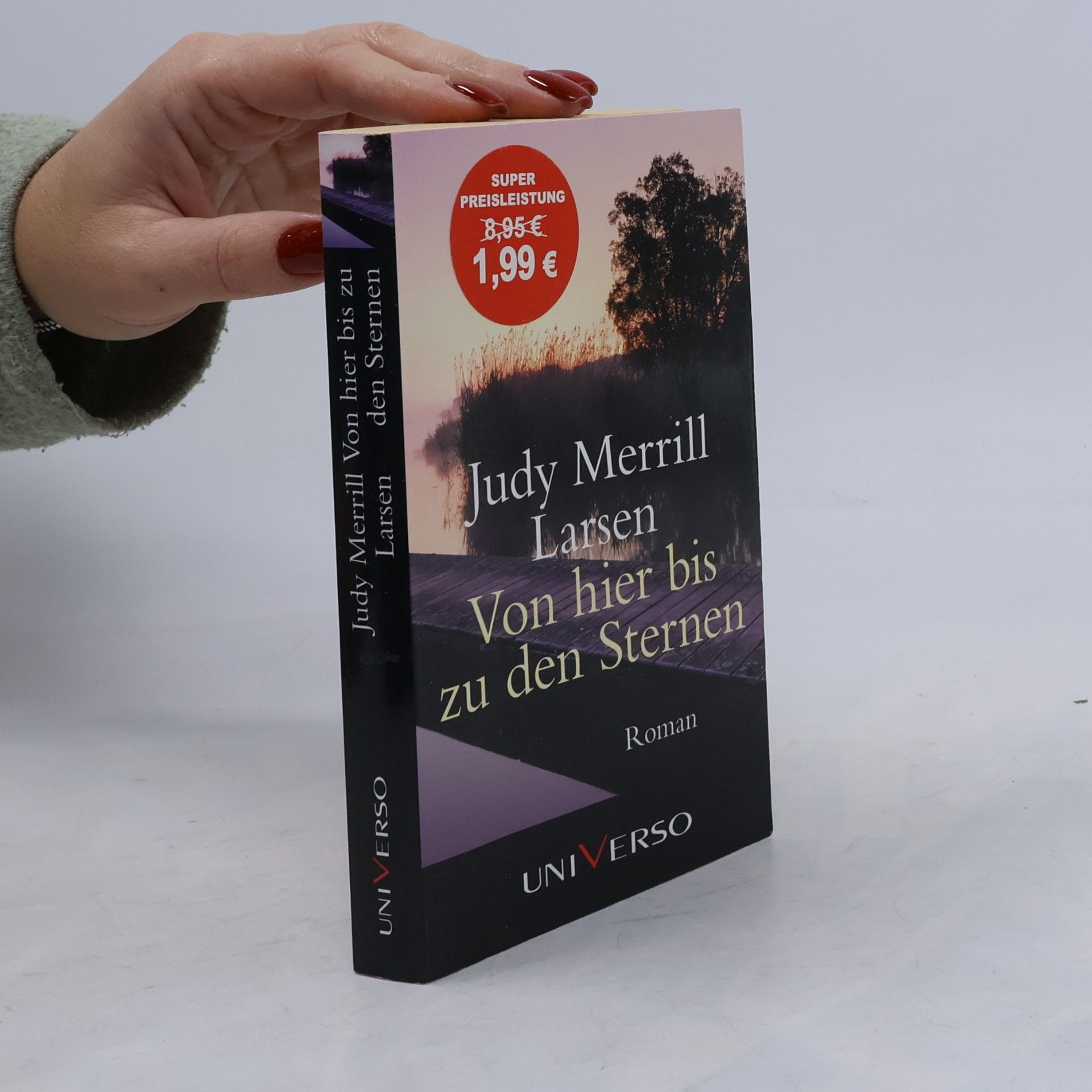 Judy Merrill Larsen Von hier bis zu den Sternen