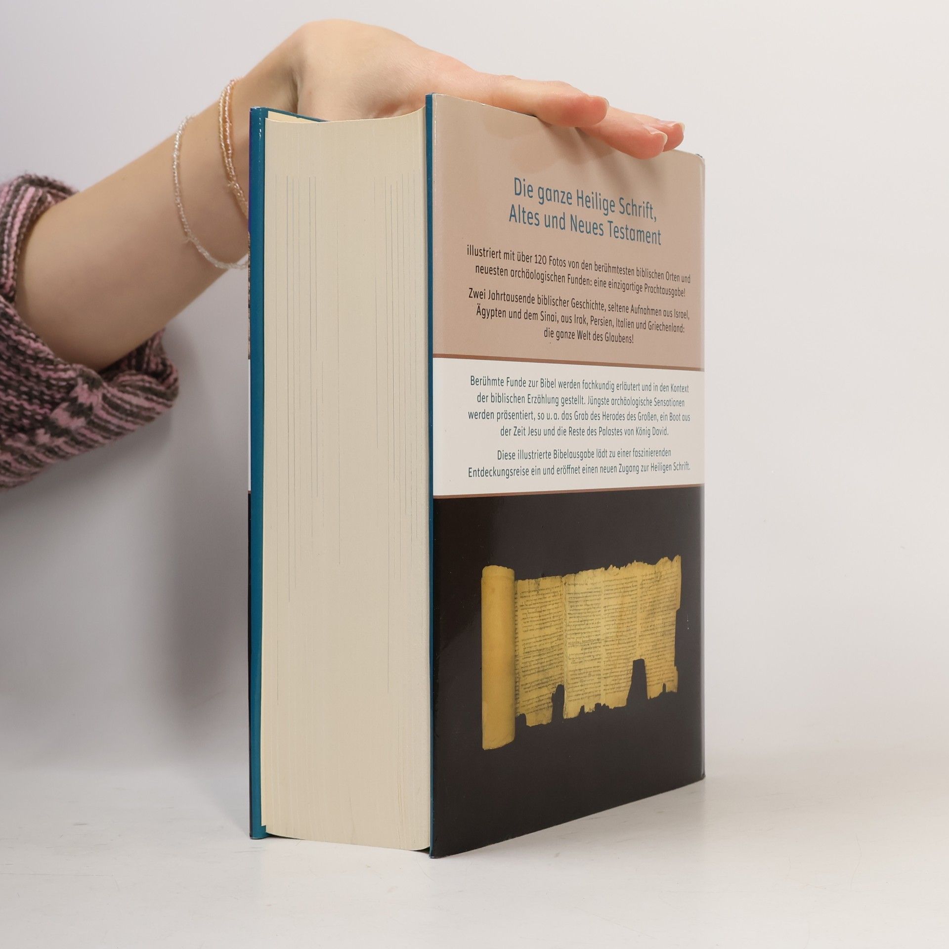 Die Bibel: Mit Bildern aus dem Heiligen Land