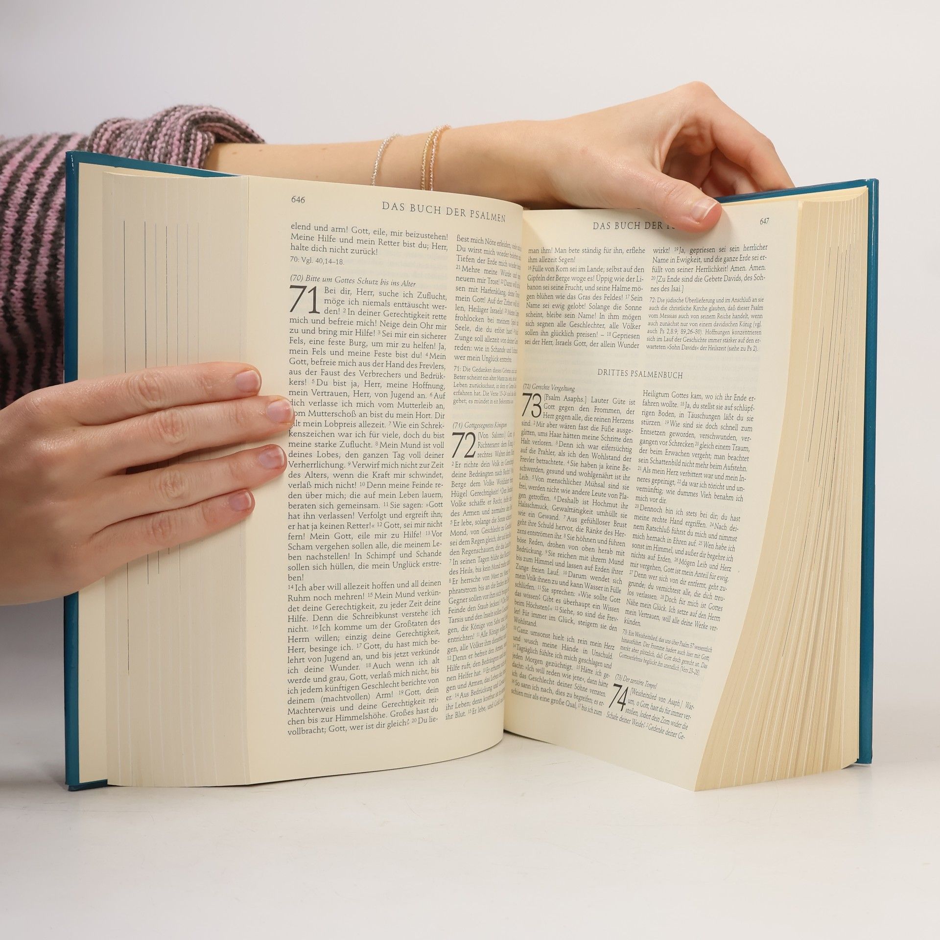 Die Bibel: Mit Bildern aus dem Heiligen Land
