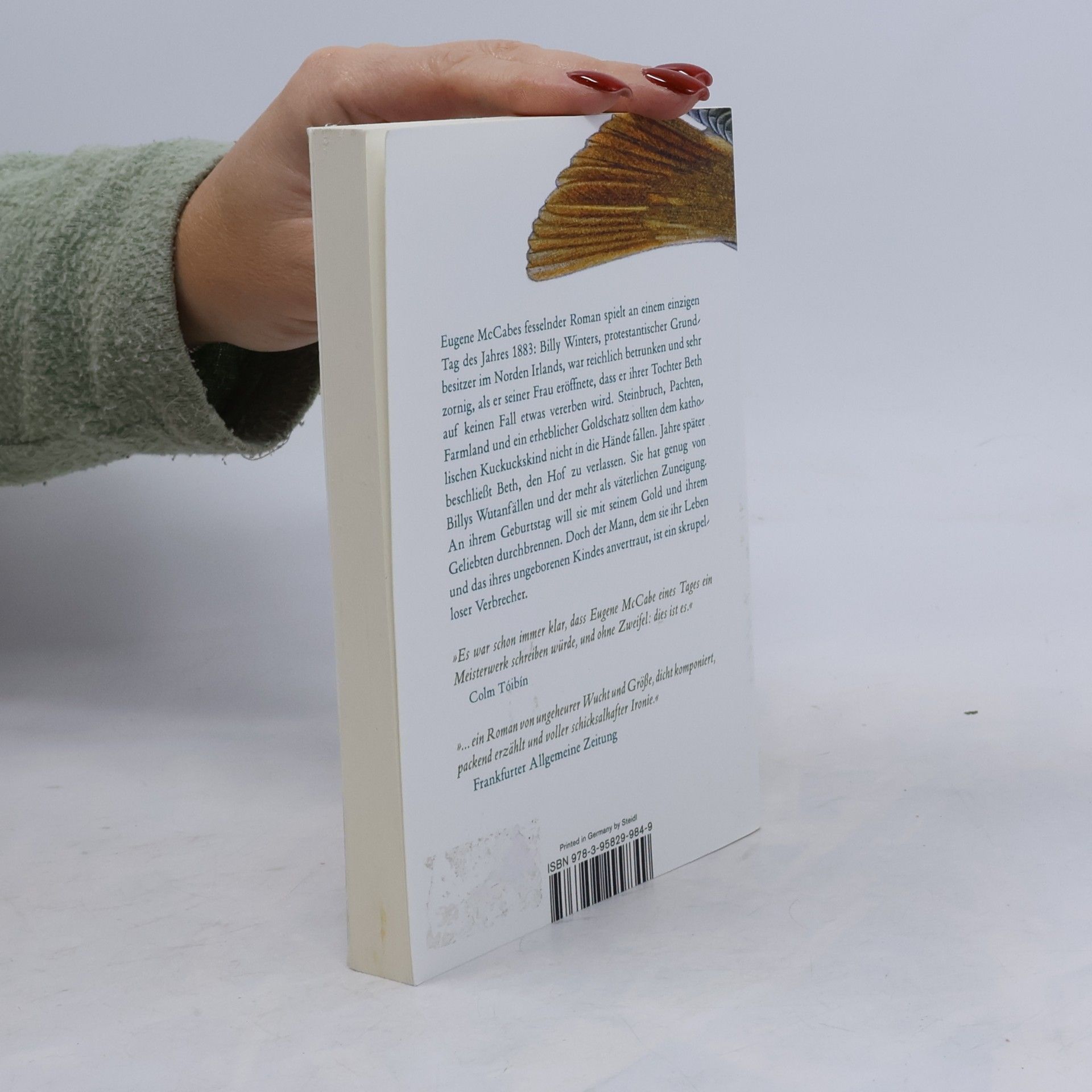 Eugene McCabe Tod und Nachtigallen (Steidl Pocket)