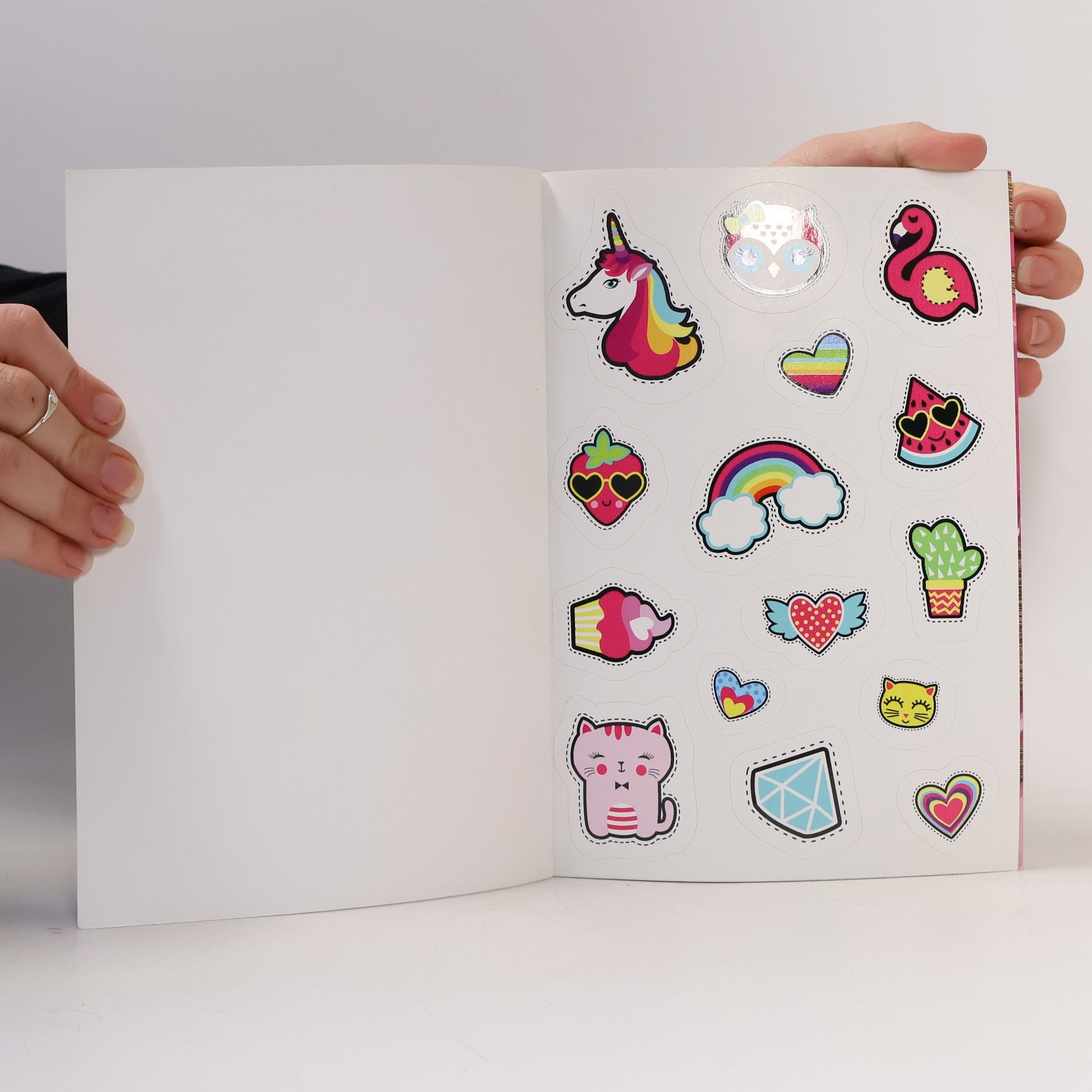 Kolektiv autorů Módní tipy a triky pro správné holky