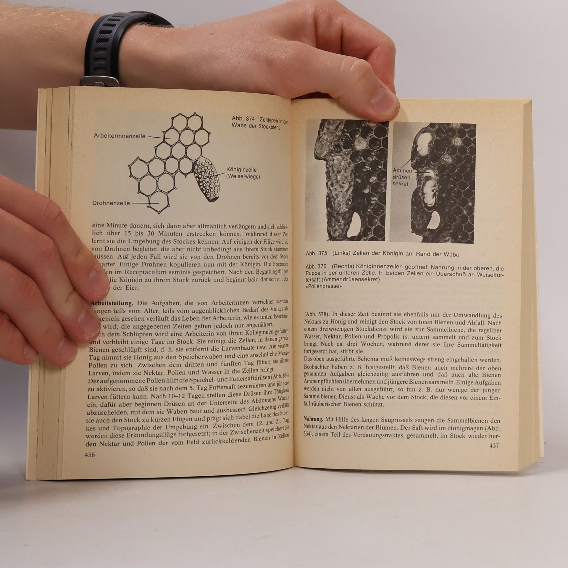 Donald G. Mackean Einführung in die Biologie