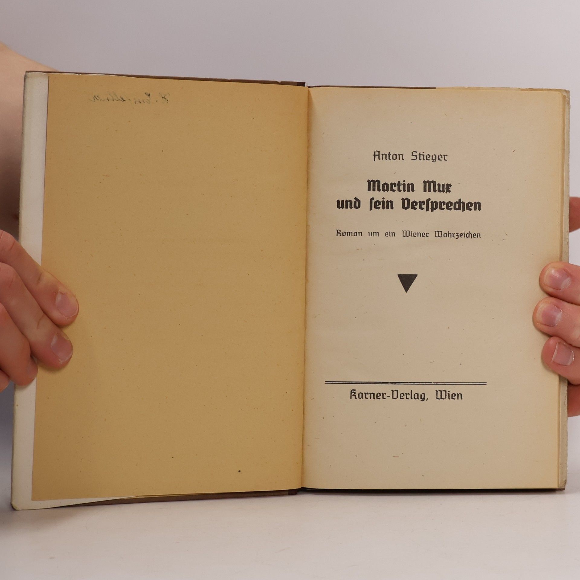 Anton Stieger Martin Mux und sein Versprechen