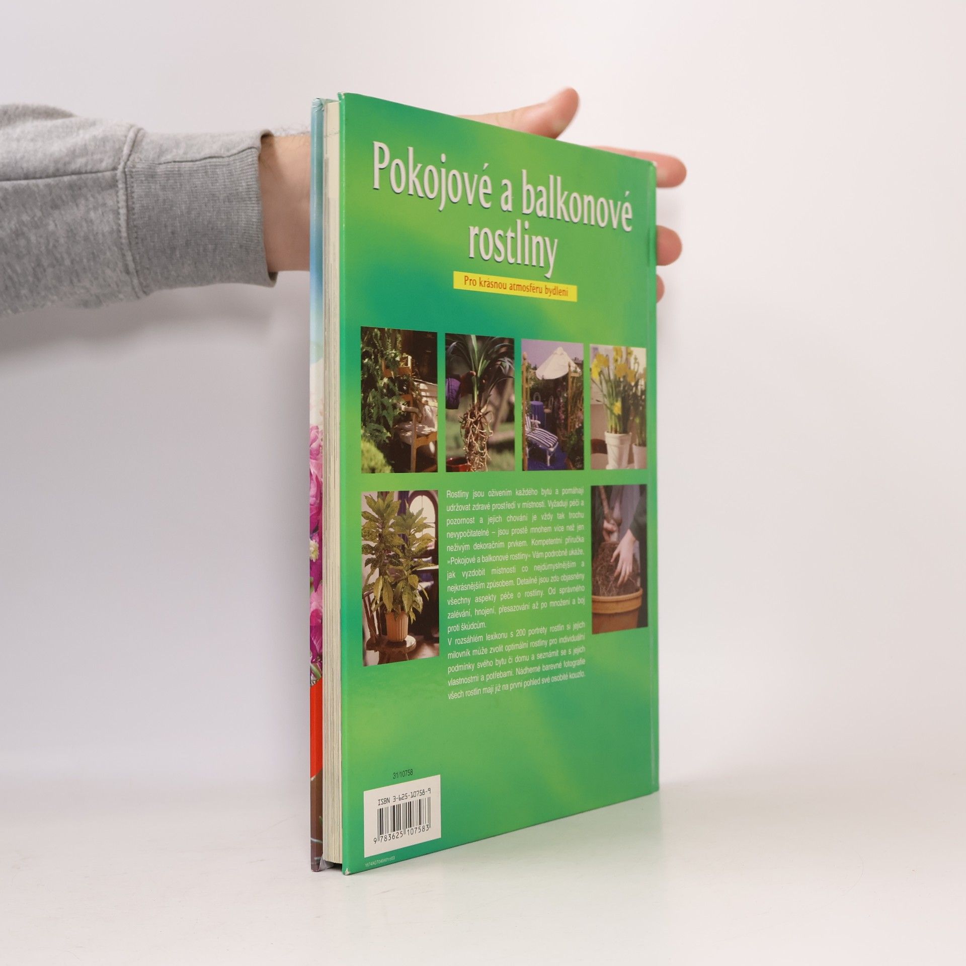 Collectif d'auteurs Pokojové a balkonové rostliny. pro krásnou atmosféru bydlení
