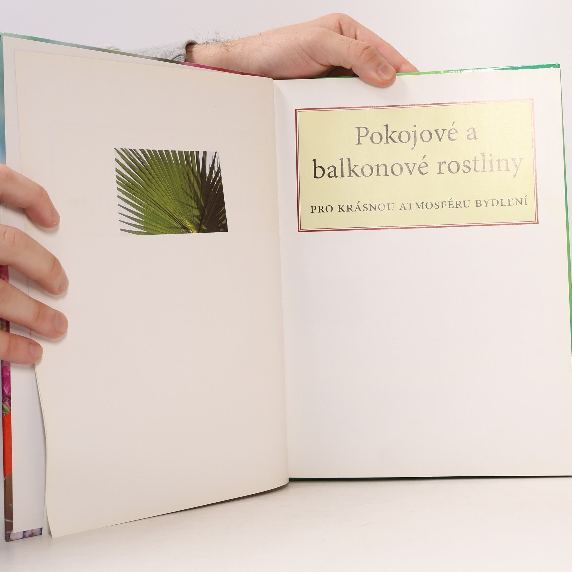 Collectif d'auteurs Pokojové a balkonové rostliny. pro krásnou atmosféru bydlení