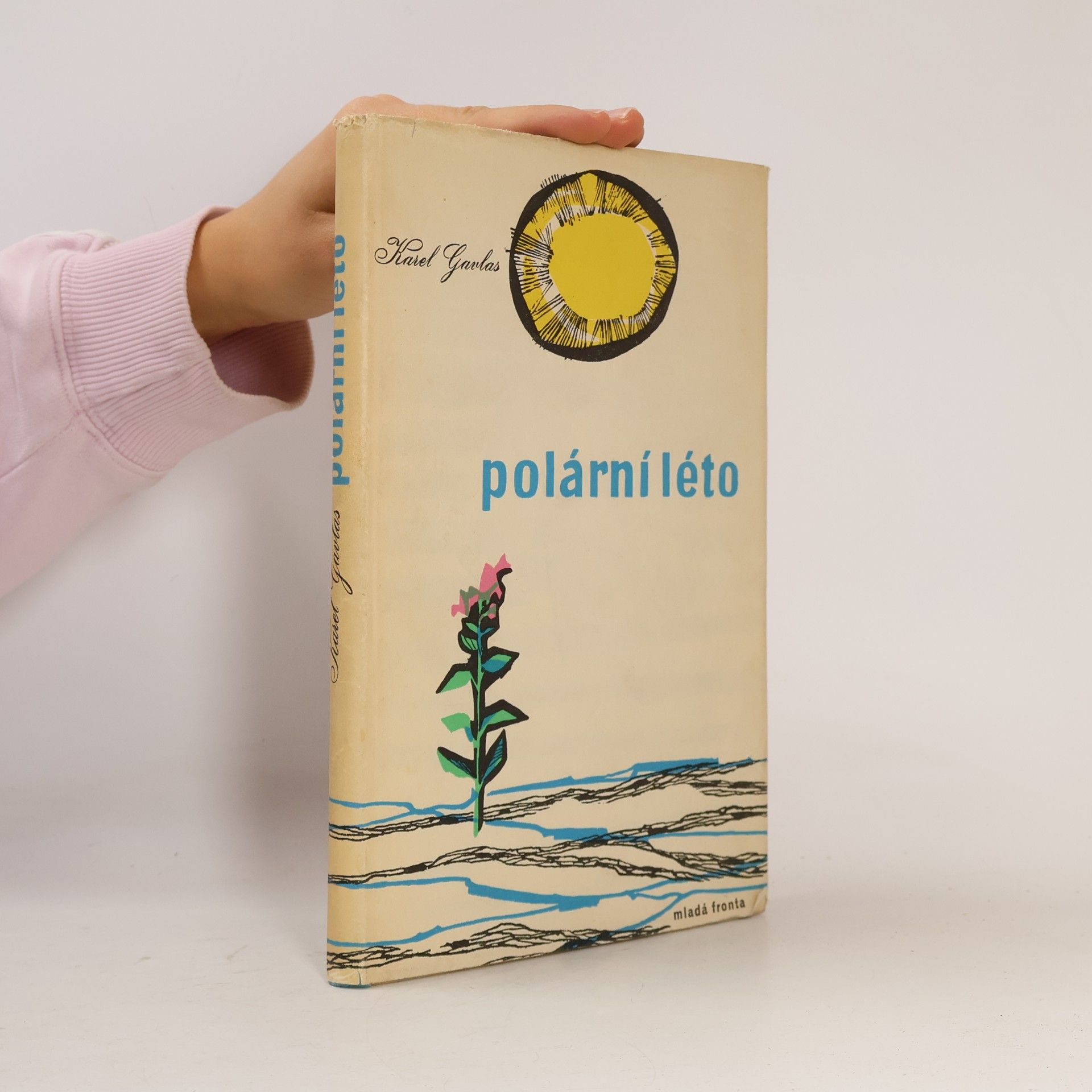 Polární léto
